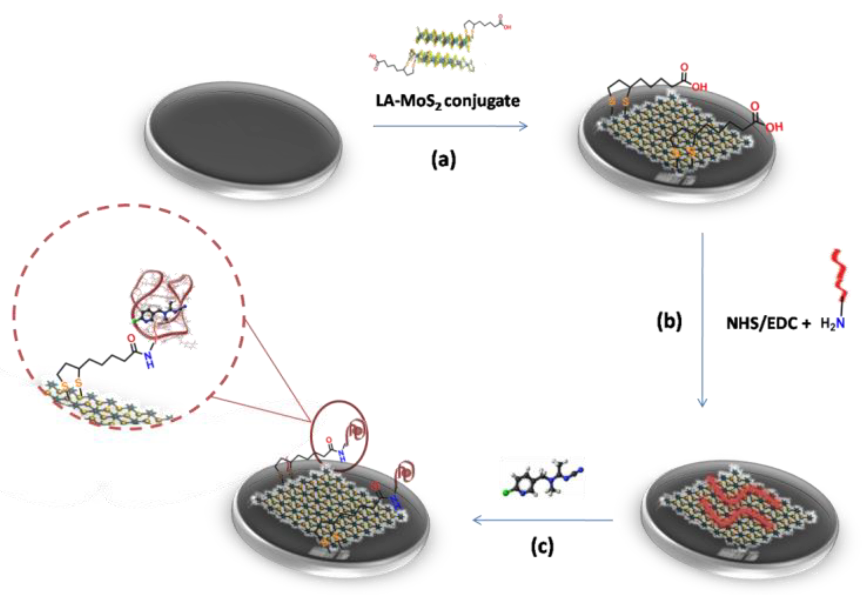 Applsci 11 01382 sch001