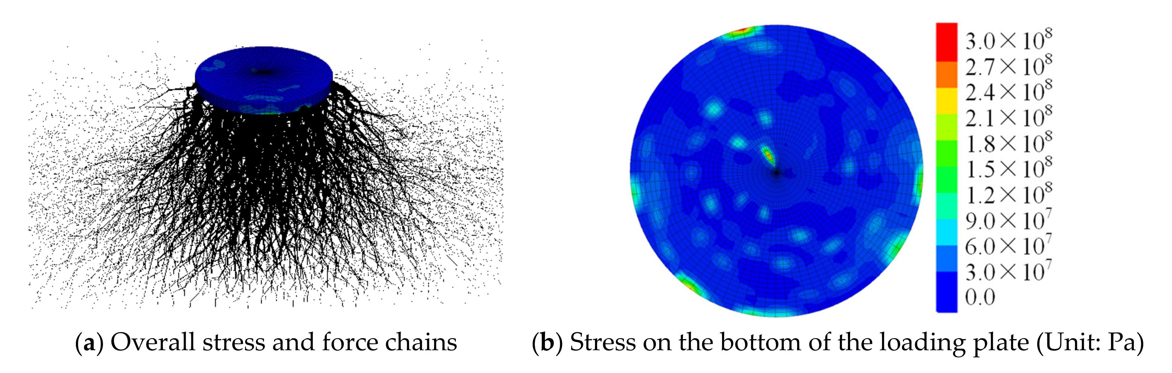 Applsci 11 01384 g007