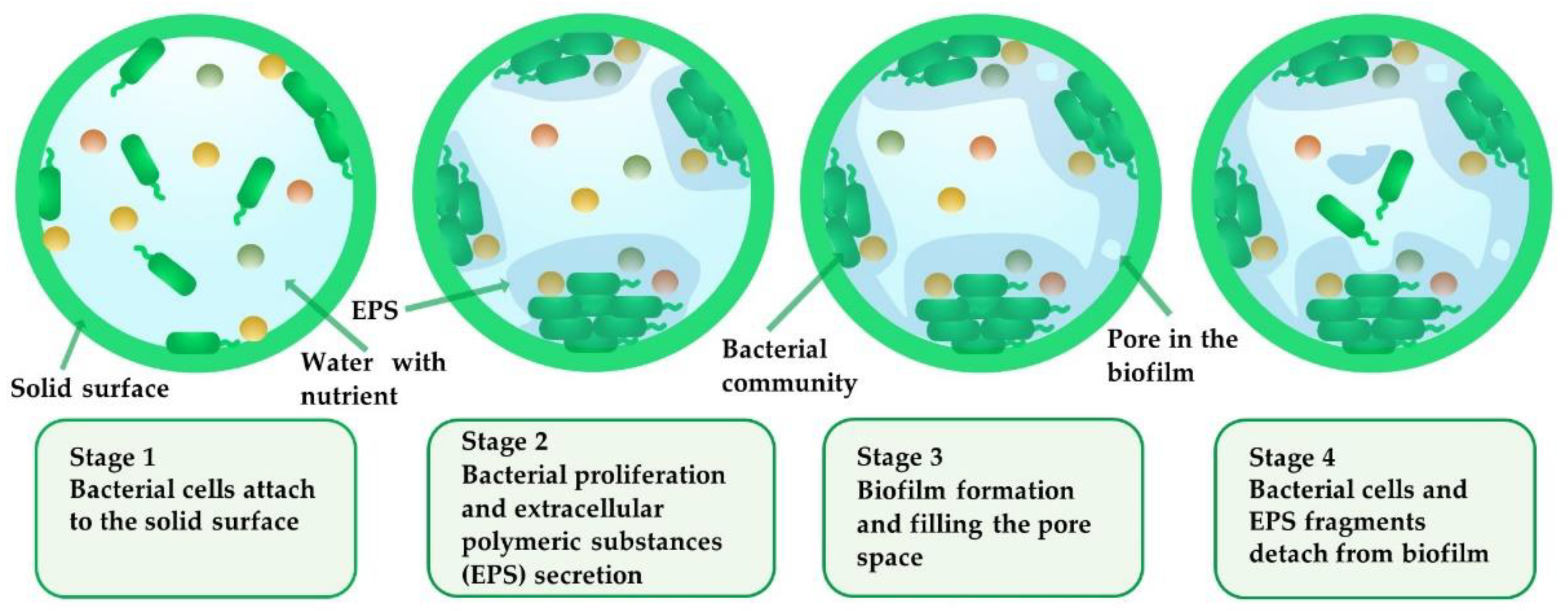Applsci 11 01391 g001