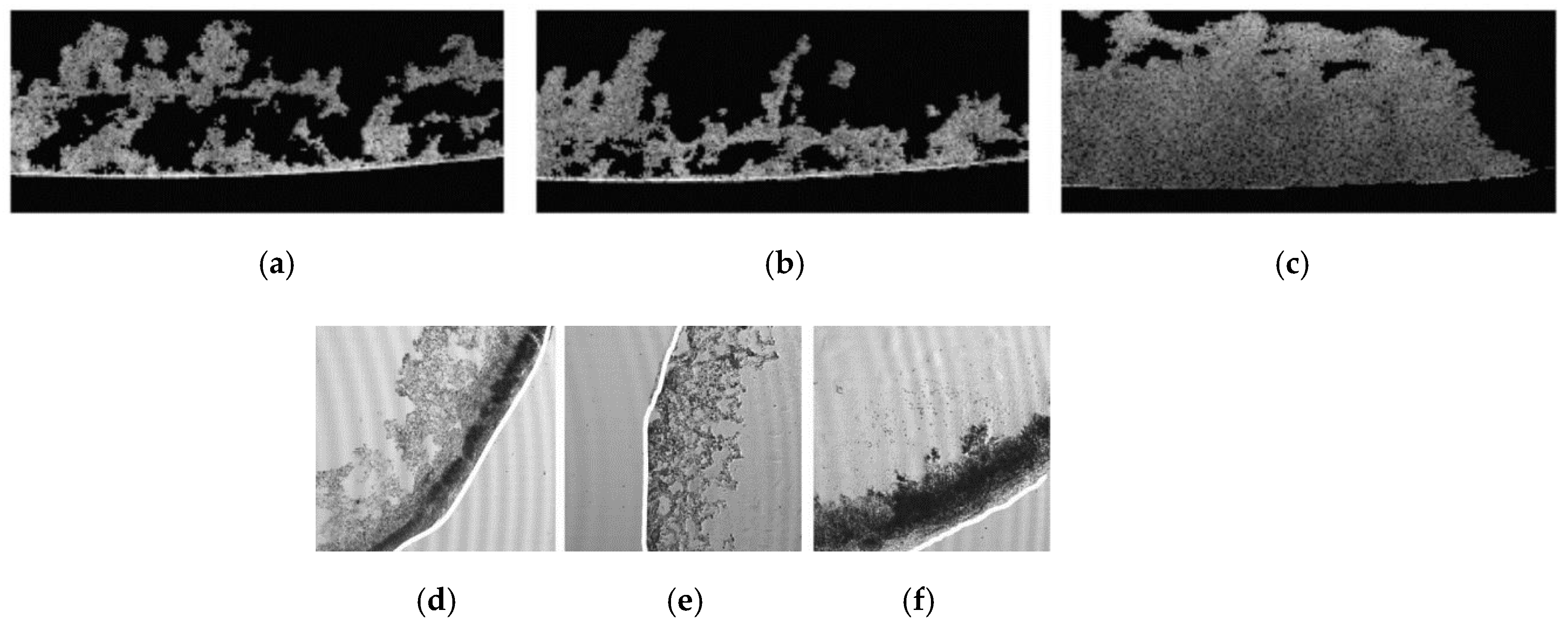 Applsci 11 01391 g002