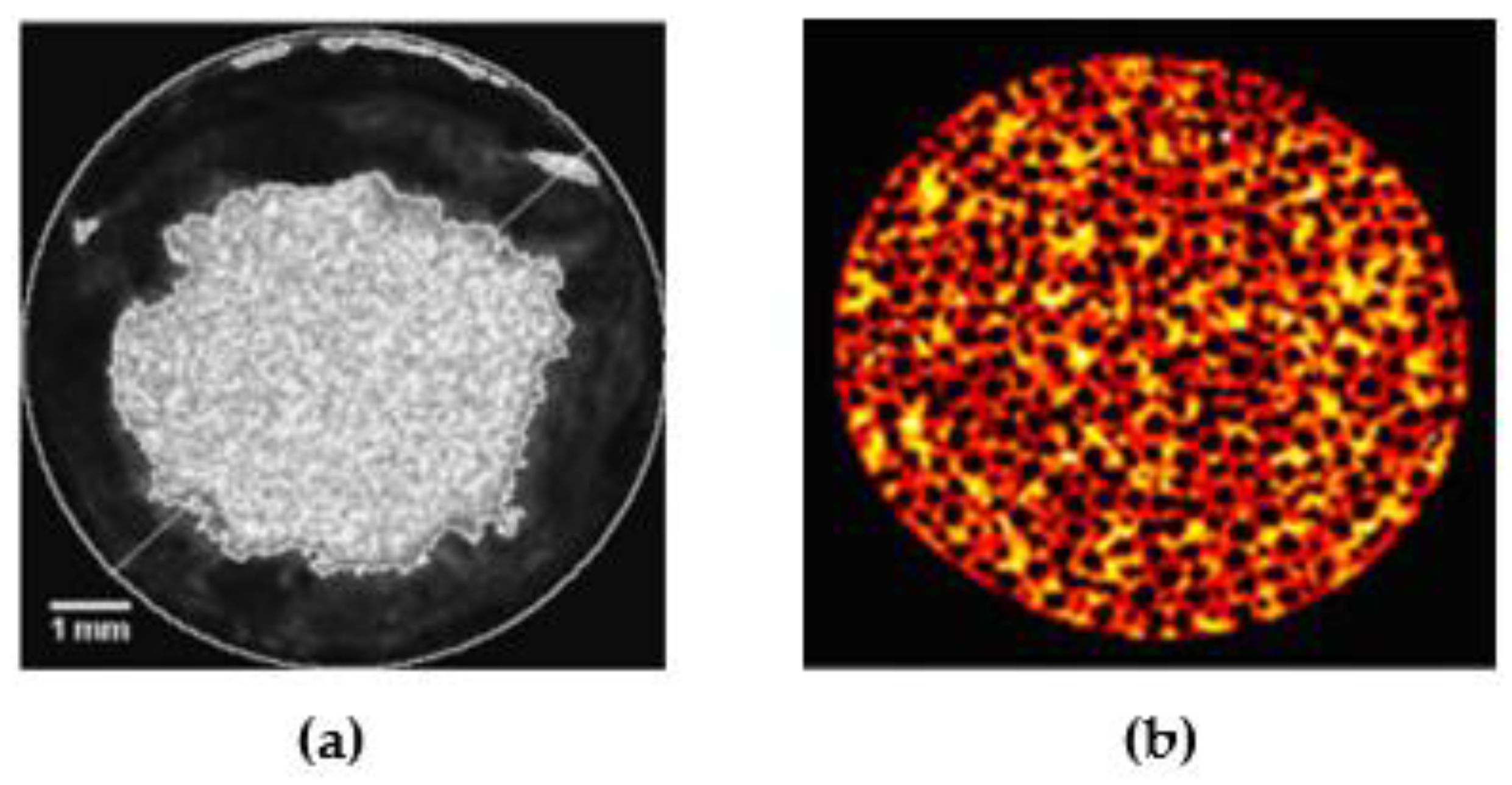 Applsci 11 01391 g004