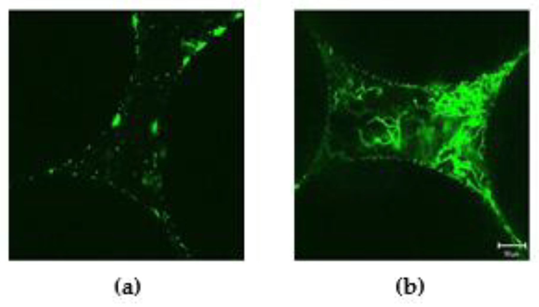 Applsci 11 01391 g005