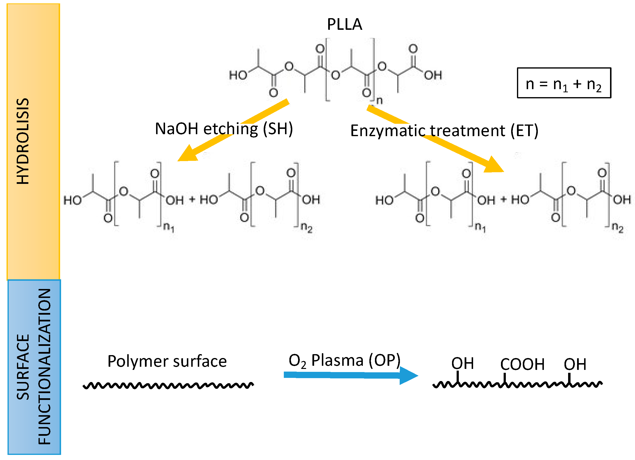 Applsci 11 01478 g001
