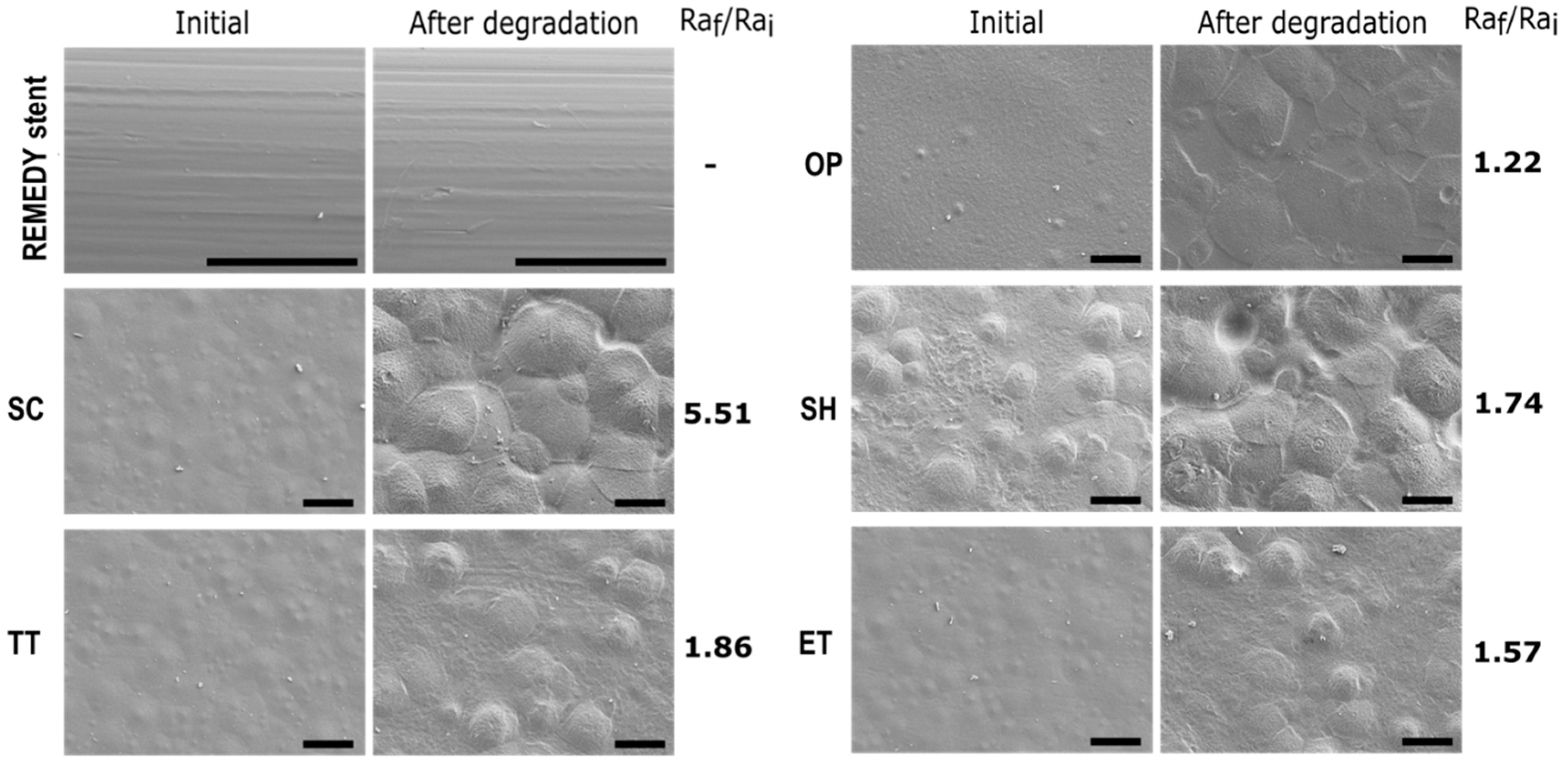 Applsci 11 01478 g005