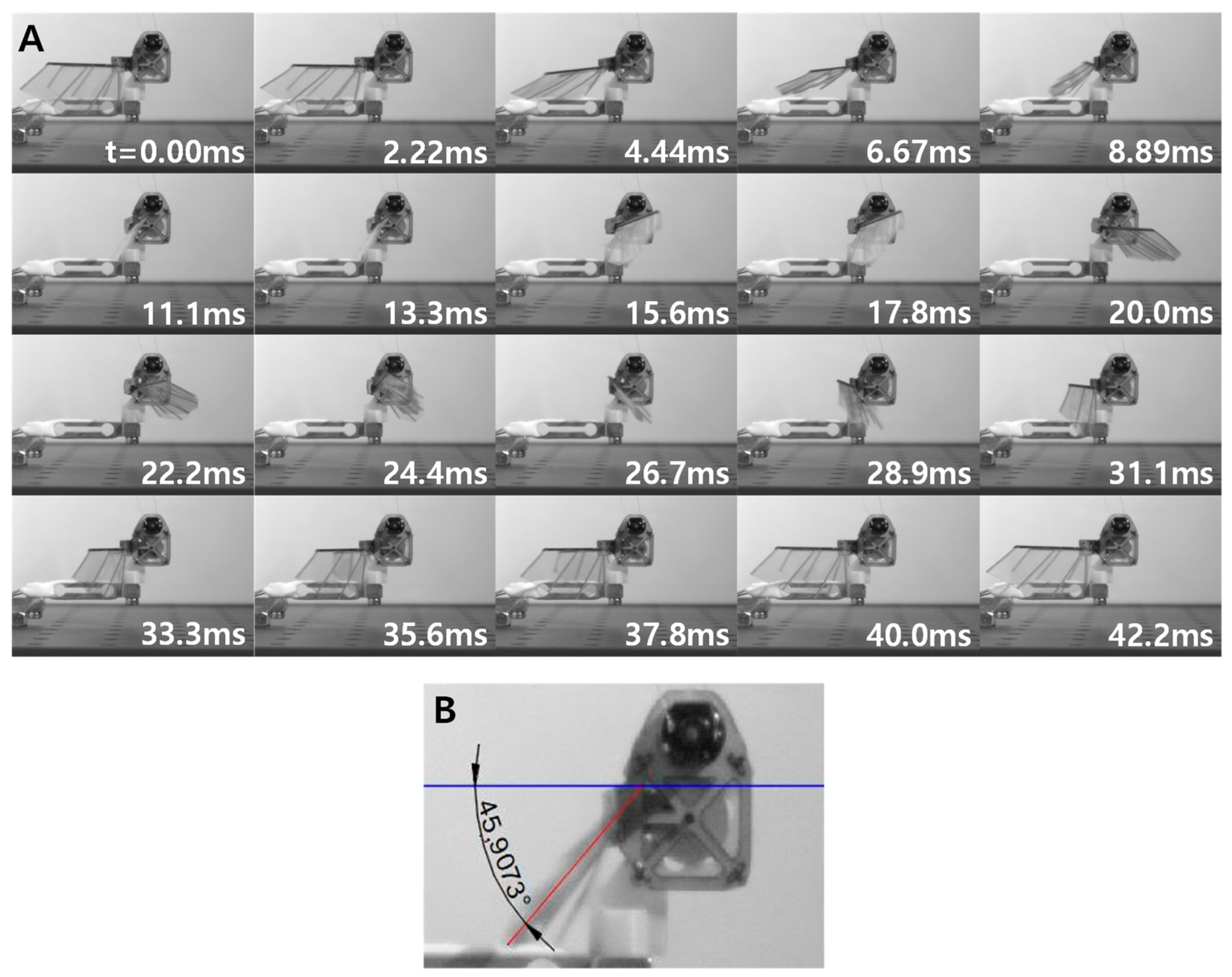 Applsci 11 01515 g009 Applsci 11 01515 g009