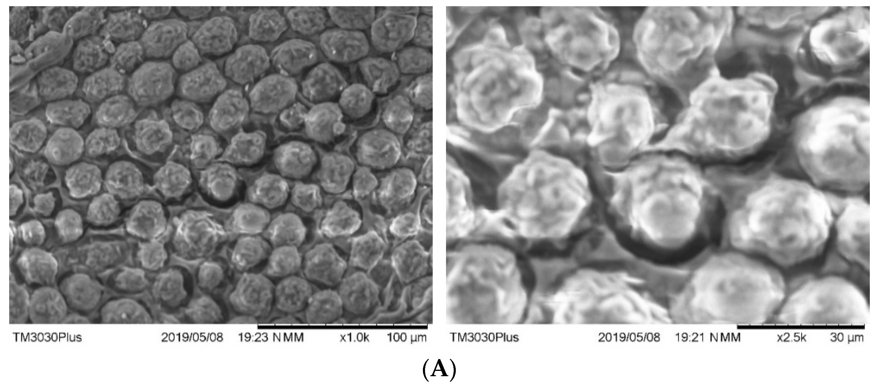 Applsci 11 01518 g004a