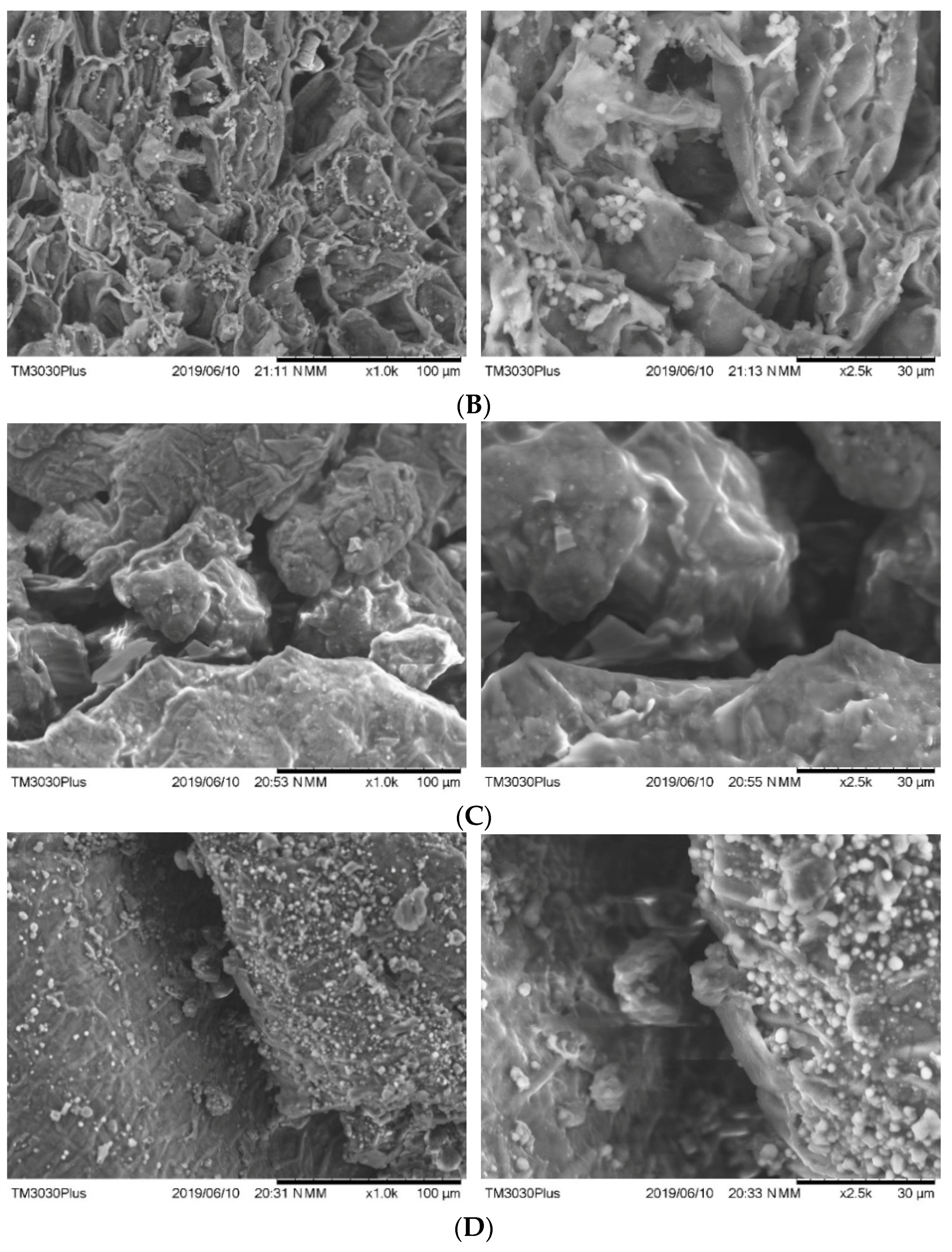 Applsci 11 01518 g004b