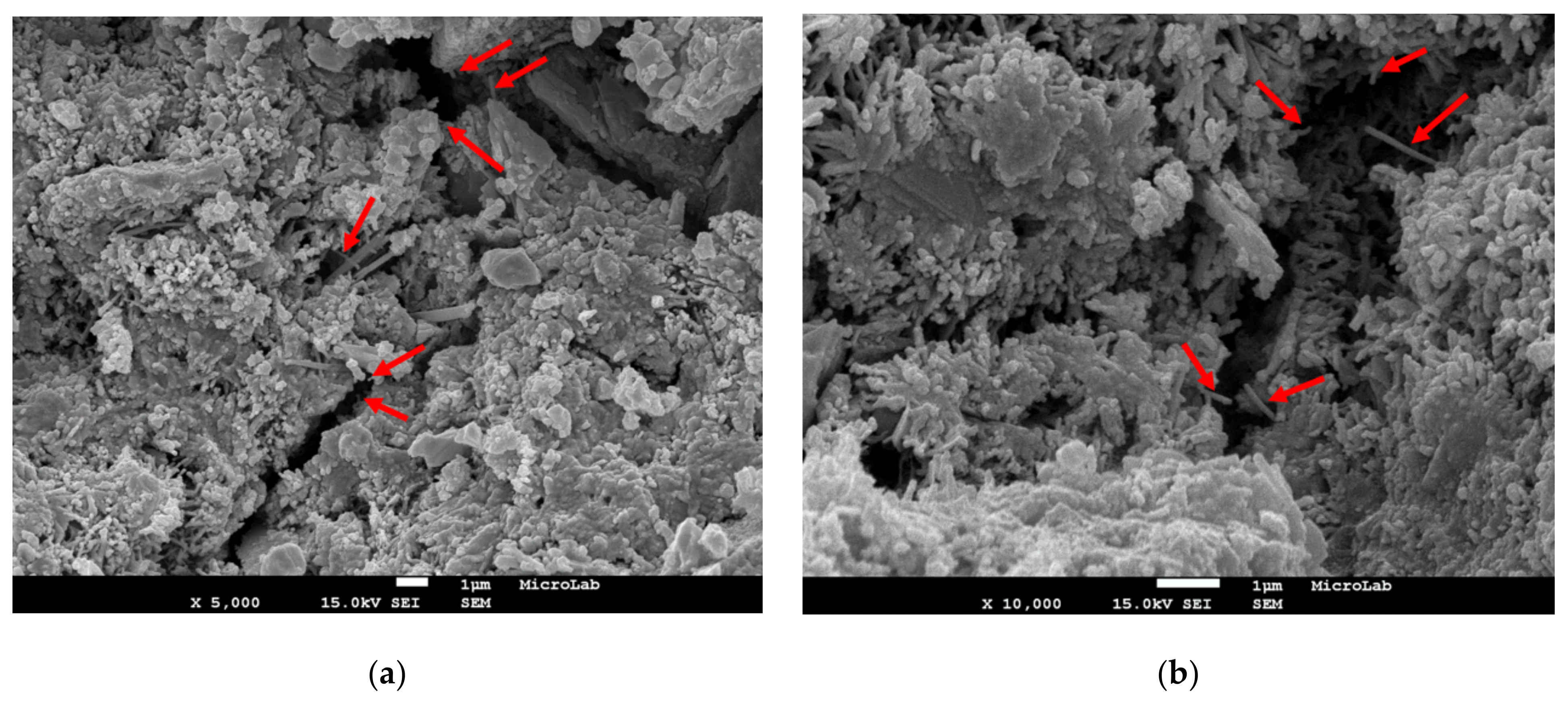 Applsci 11 01672 g007a