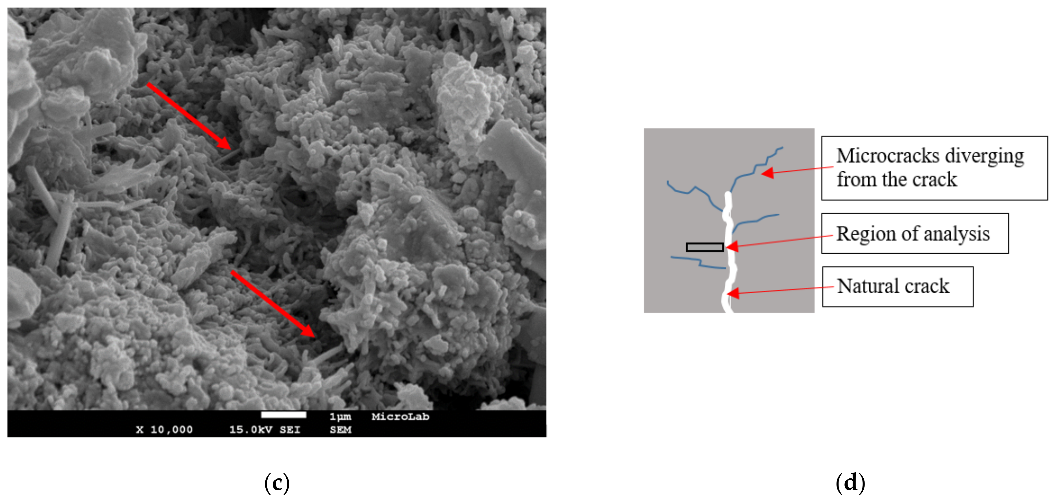 Applsci 11 01672 g007b