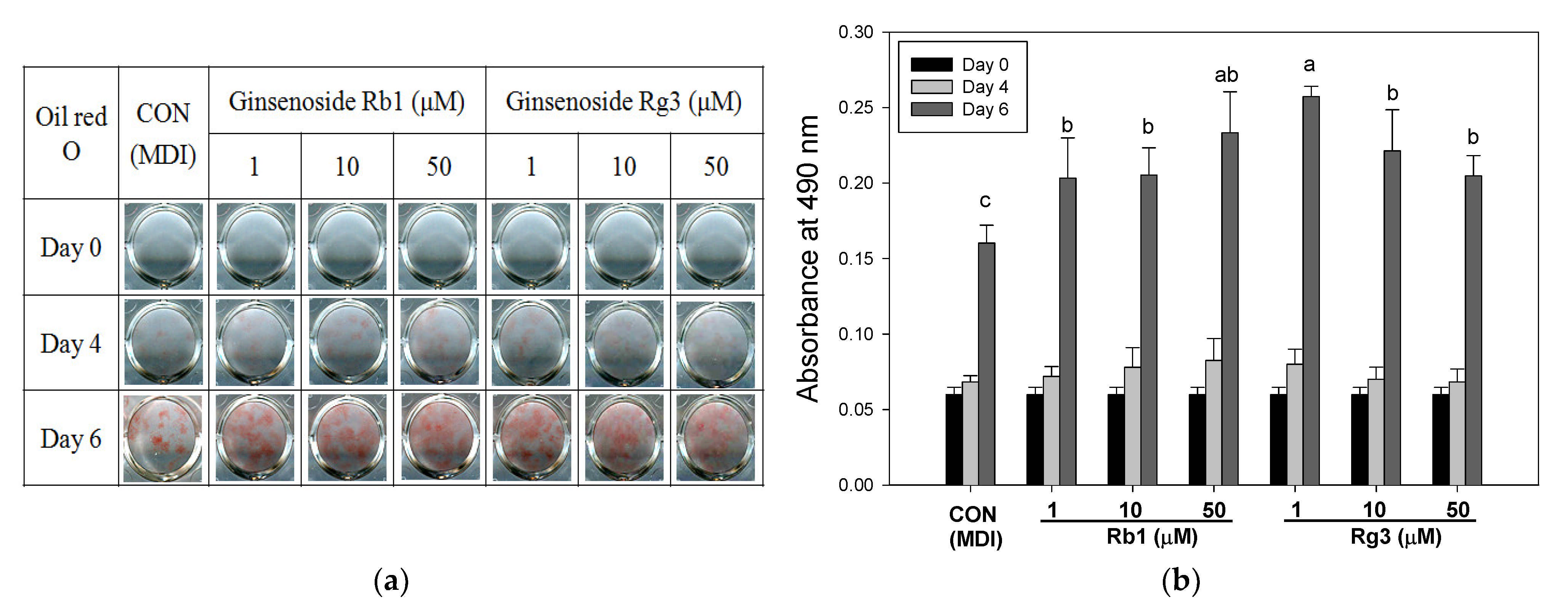 Applsci 11 01725 g001 Applsci 11 01725 g001