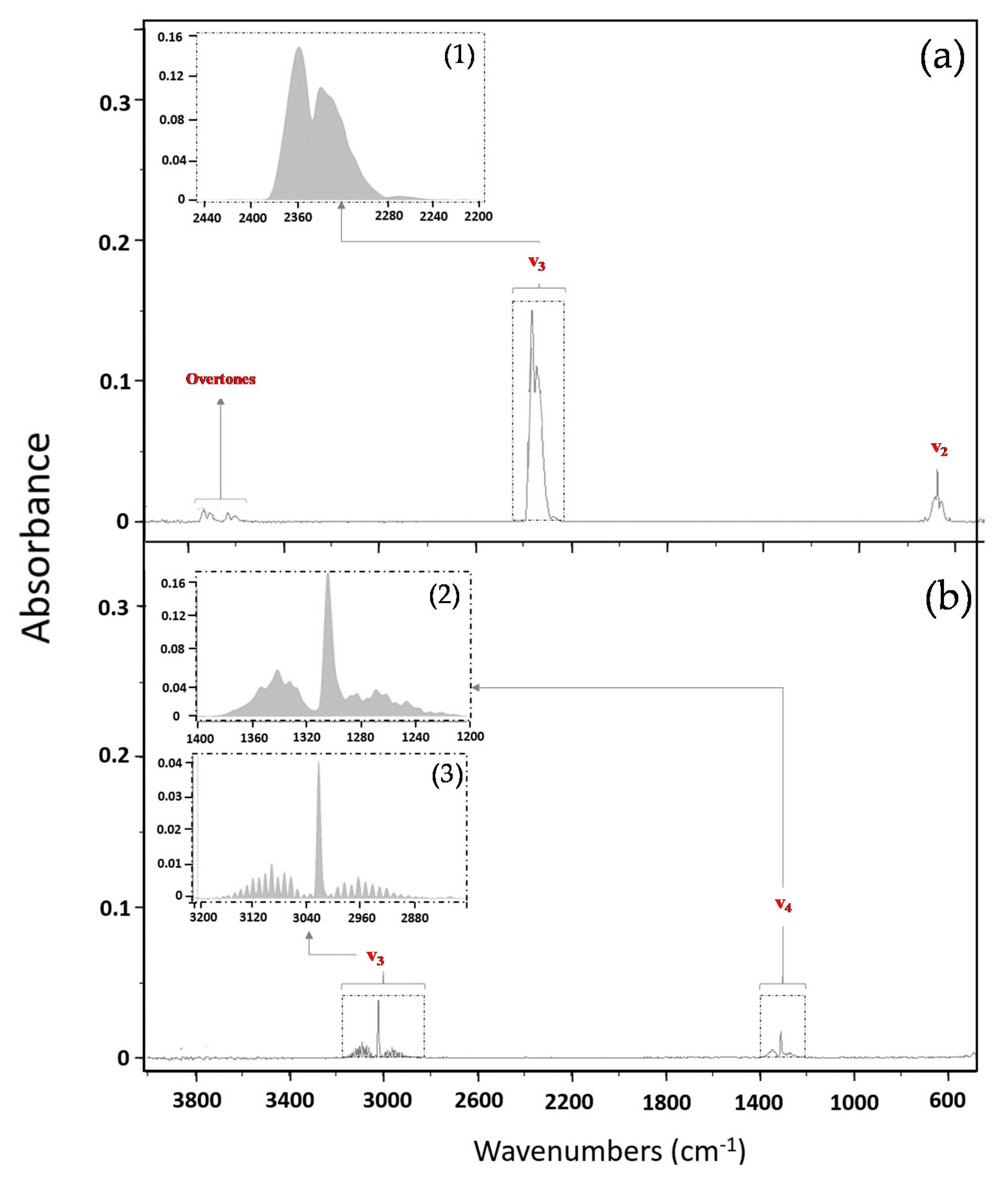 Applied Sciences | Free Full-Text | Baseline Subsoil CO2 Gas Measurements  and Micrometeorological Monitoring: Above Canopy Turbulence Effects on the  Subsoil CO2 Dynamics in Temperate Deciduous Forest