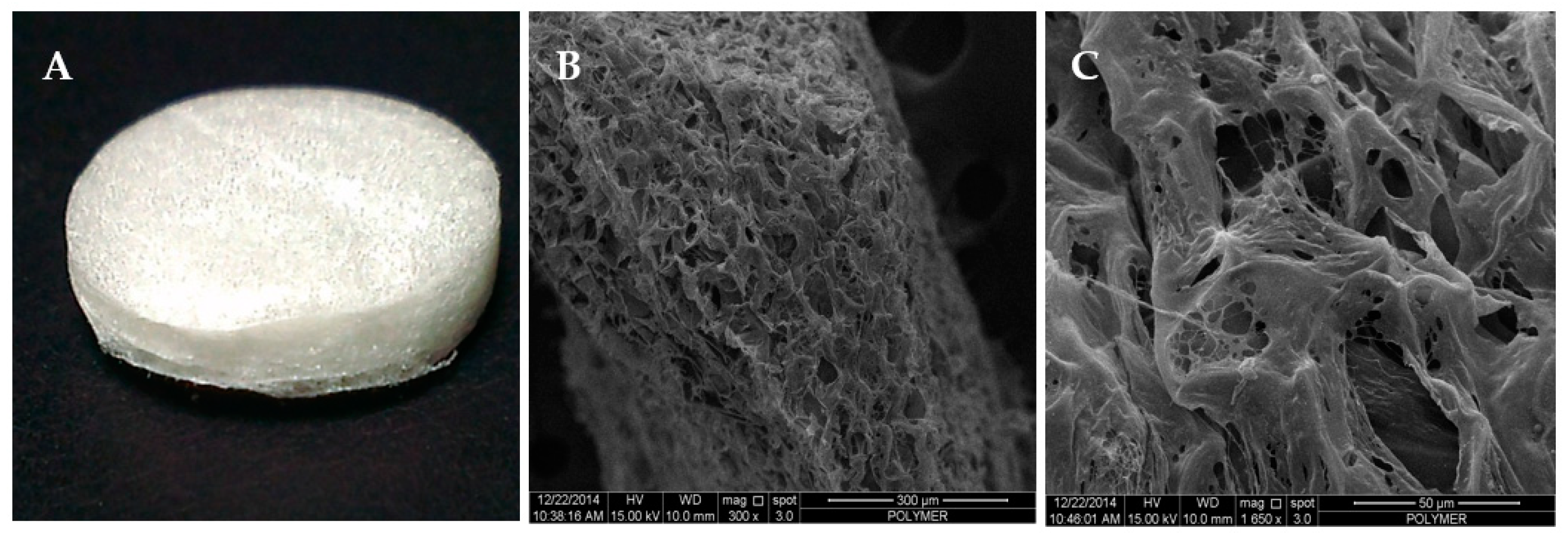 Applsci 11 01787 g002 Applsci 11 01787 g002