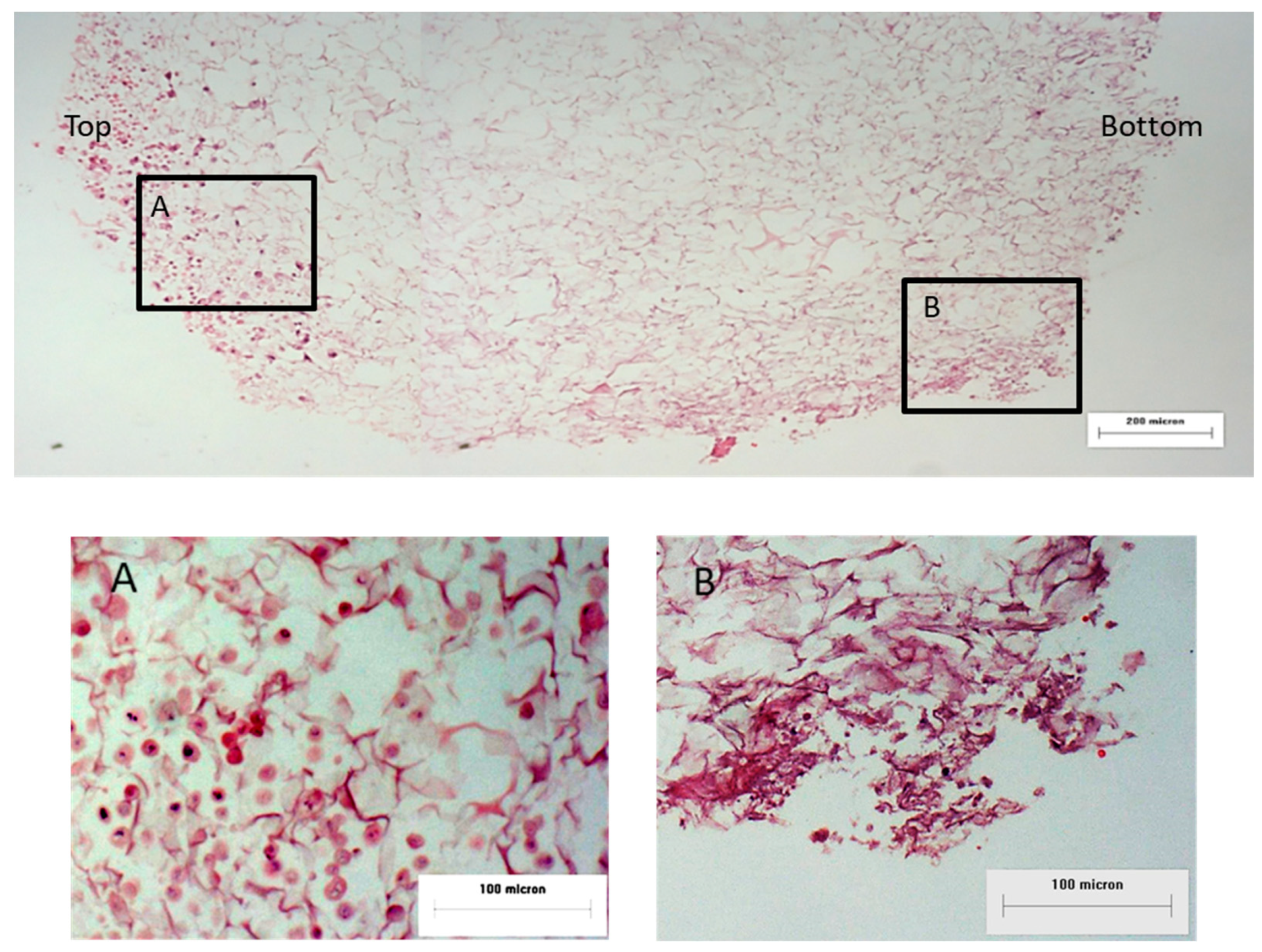 Applsci 11 01787 g003 Applsci 11 01787 g003