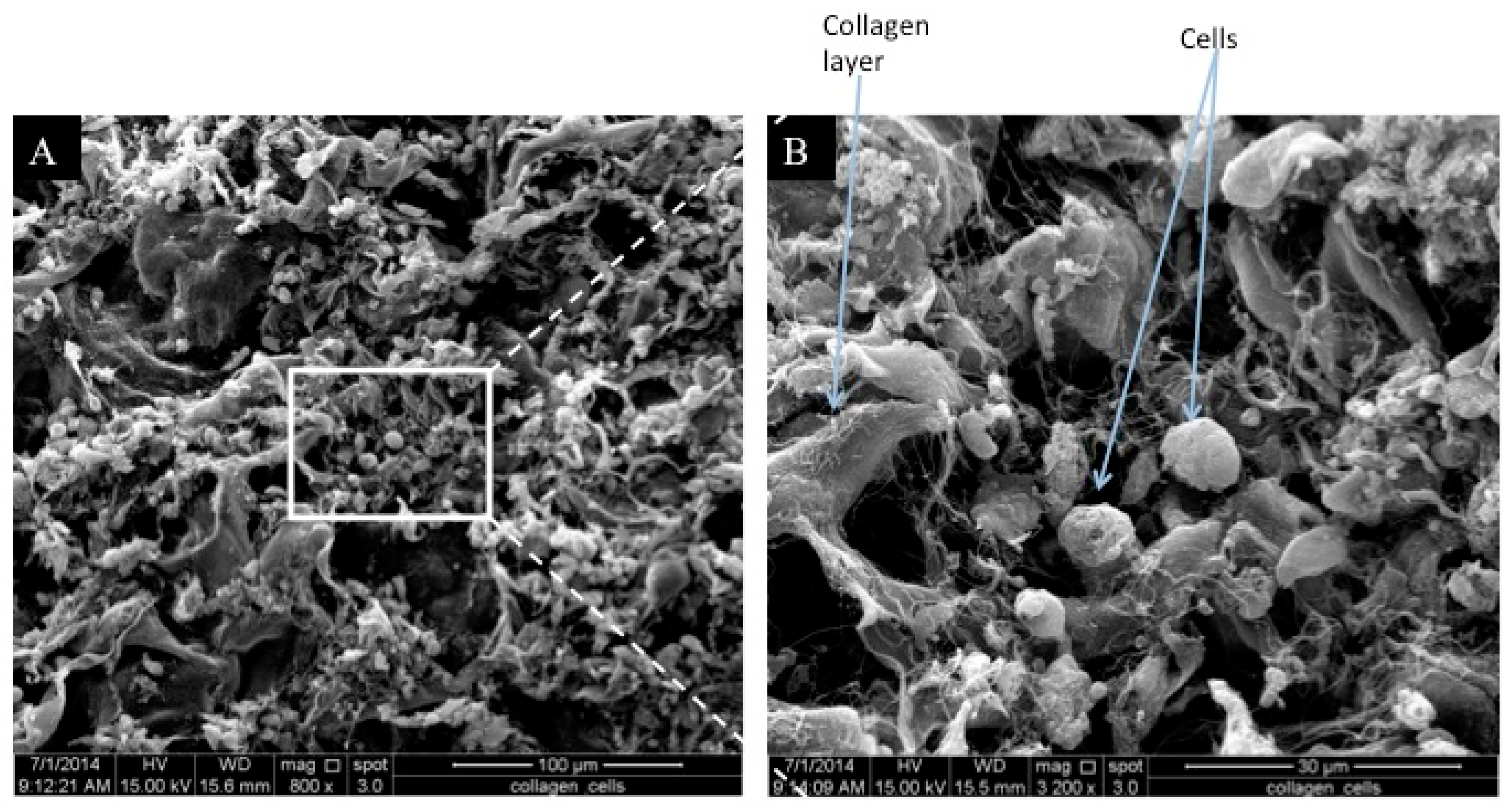 Applsci 11 01787 g005 Applsci 11 01787 g005