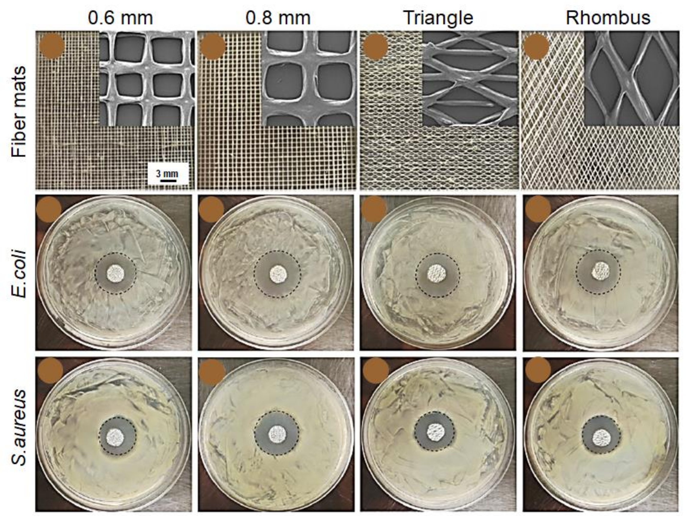 Applsci 11 01808 g008