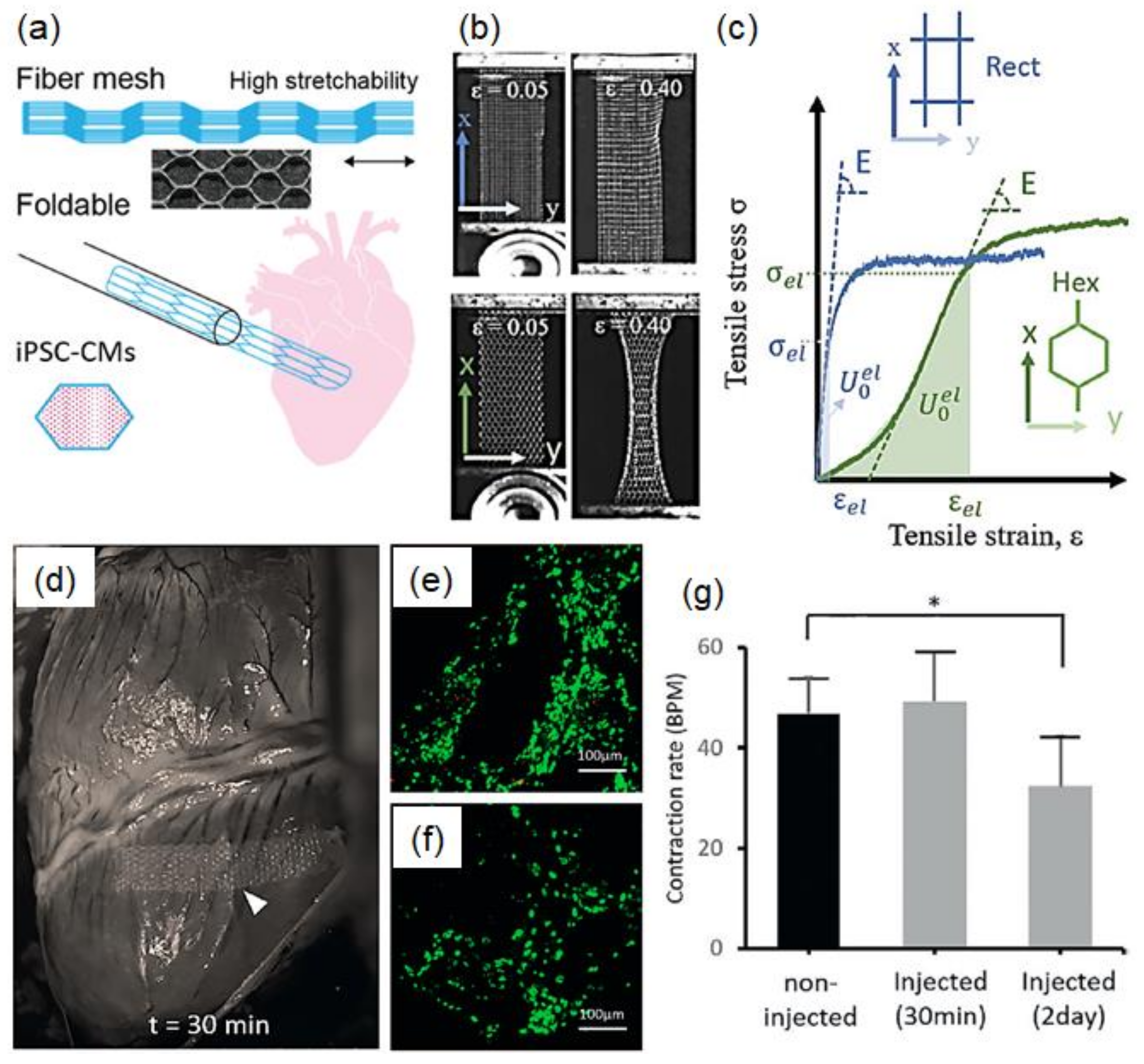 Applsci 11 01808 g015