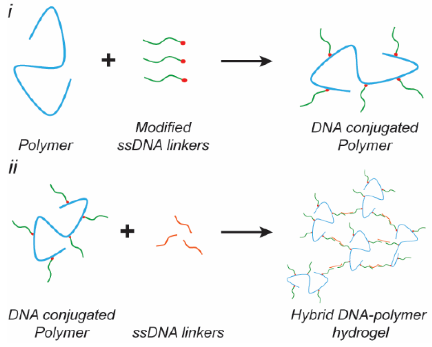 Applsci 11 01885 g003 Applsci 11 01885 g003