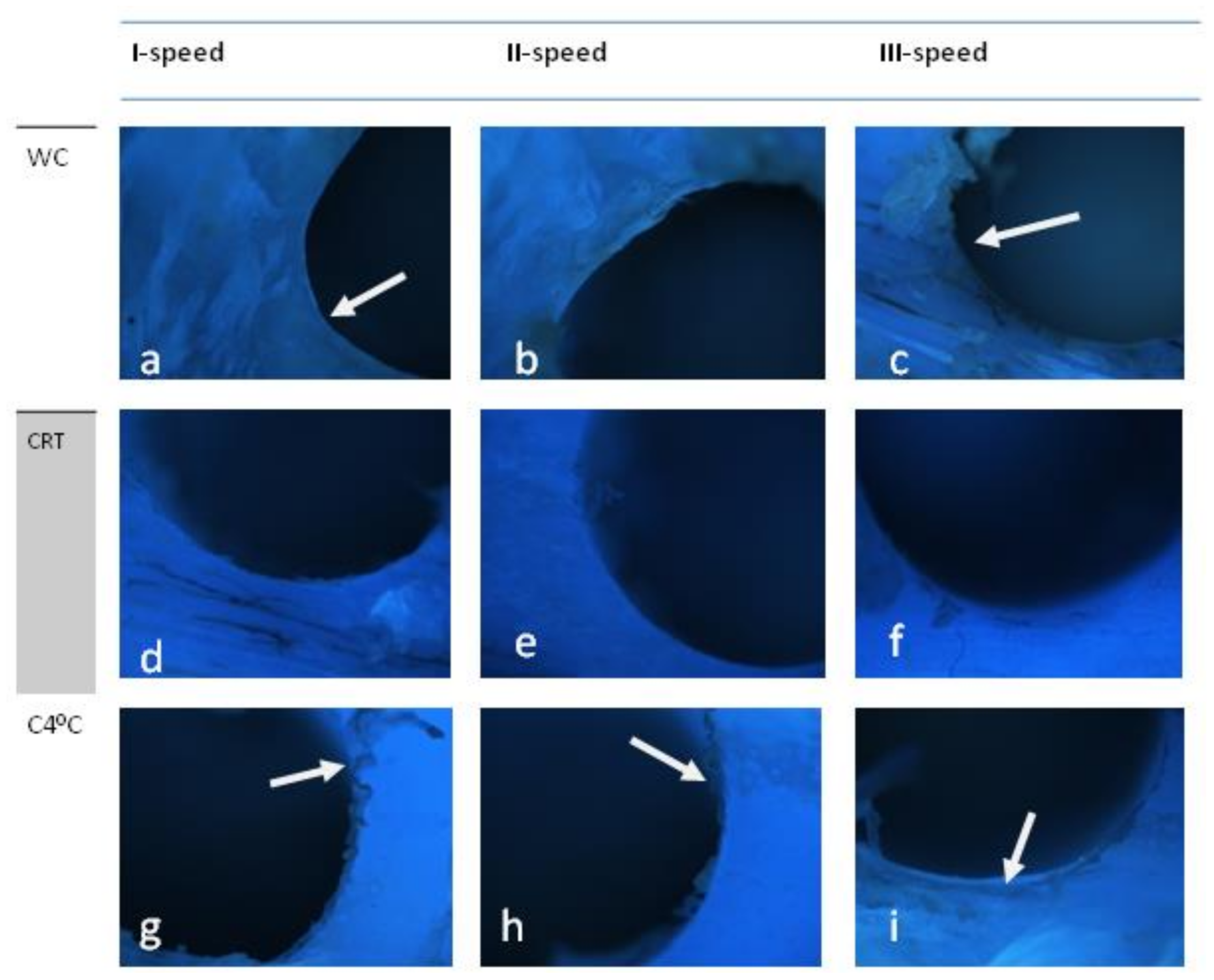 Applsci 11 01916 g003