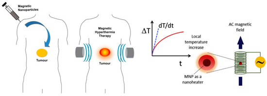 Applied Sciences | Free Full-Text | Biomaterial-Modified Magnetic  Nanoparticles γ-Fe2O3, Fe3O4 Used to Improve the Efficiency of Hyperthermia  of Tumors in HepG2 Model