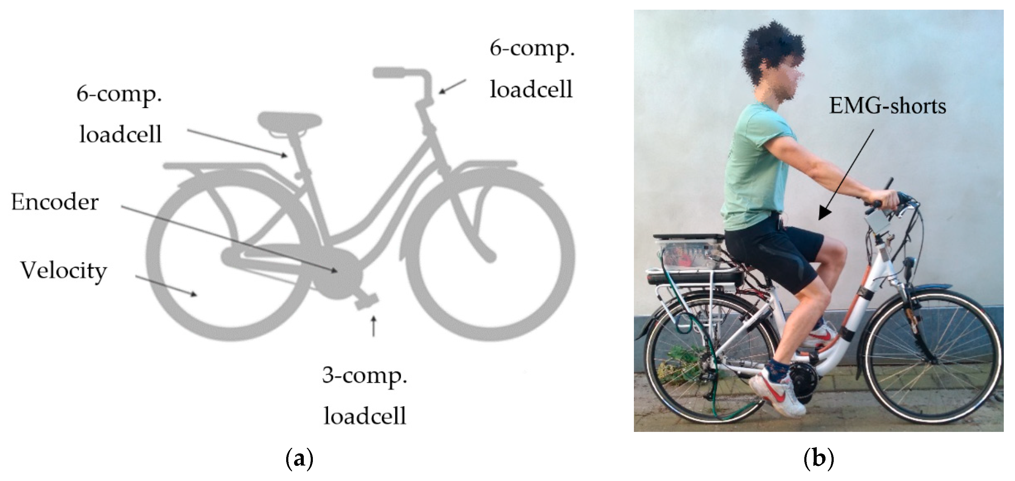 Applied Sciences | Free Full-Text | Influence of Electrically Powered Pedal  Assistance on User-Induced Cycling Loads and Muscle Activity during Cycling