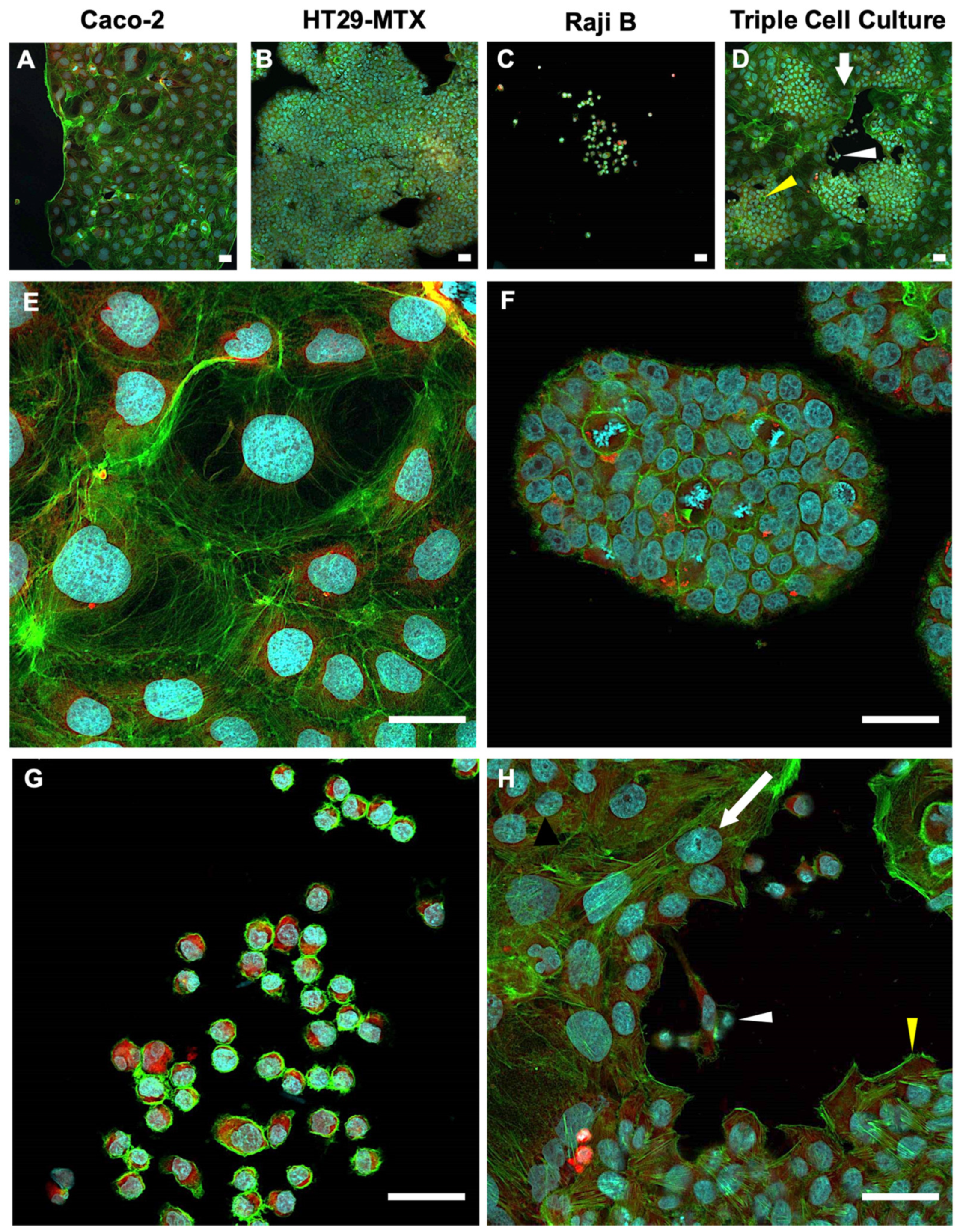 Applsci 11 02113 g002