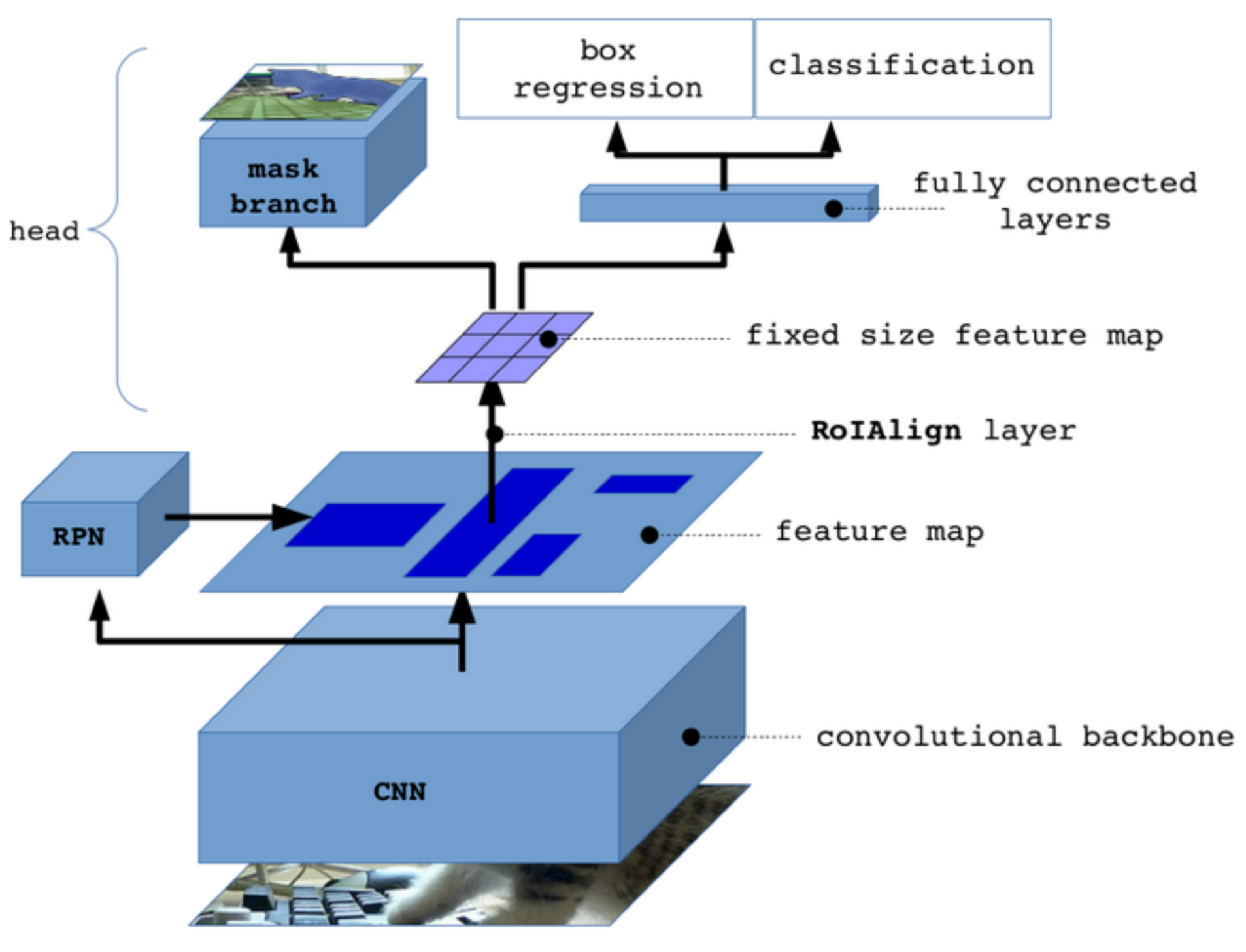 Fixed size. RCNN архитектура сети. Mask r-CNN. Mask r-CNN архитектура. Mask RCNN архитектура.