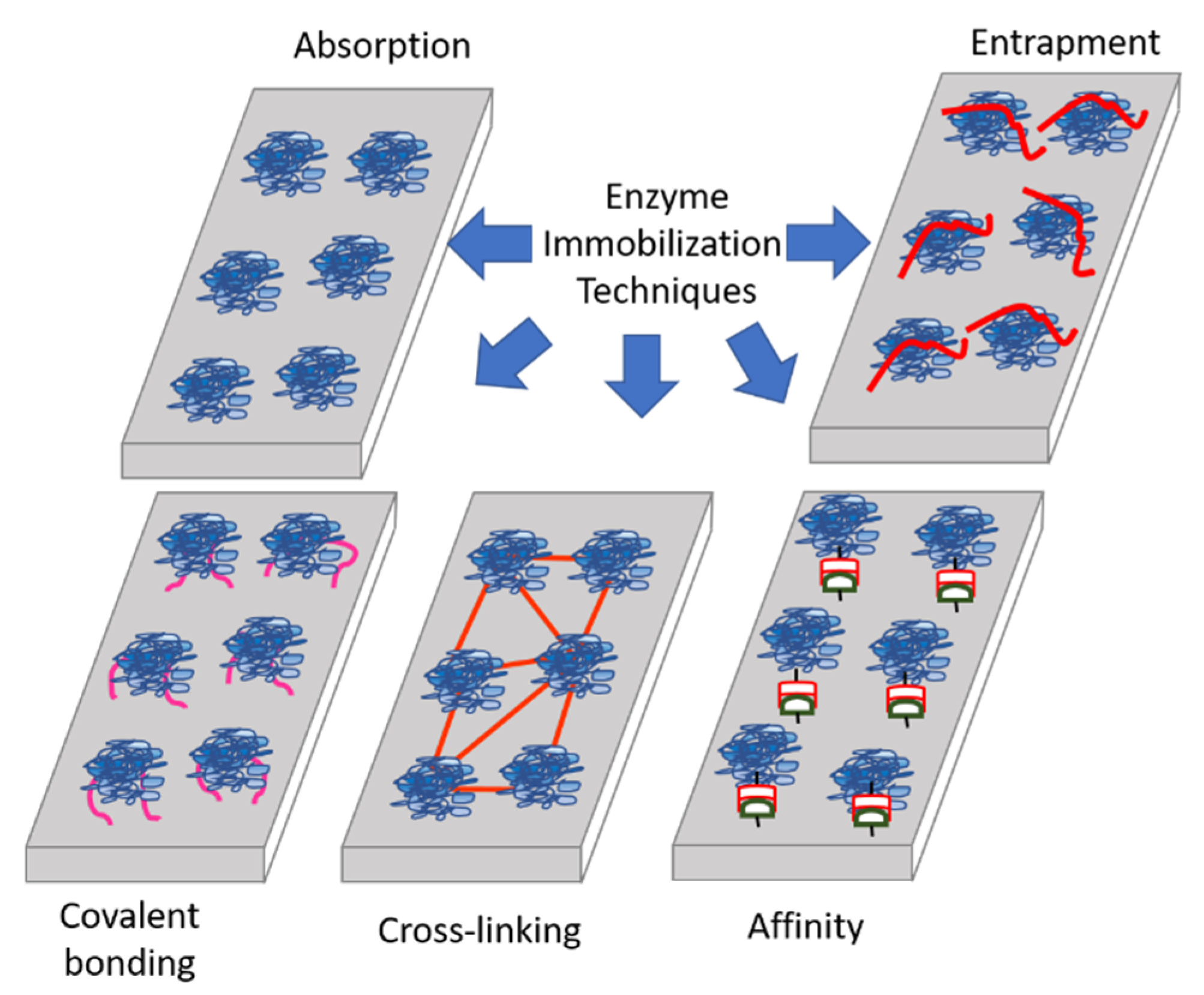 Applsci 11 02220 g011