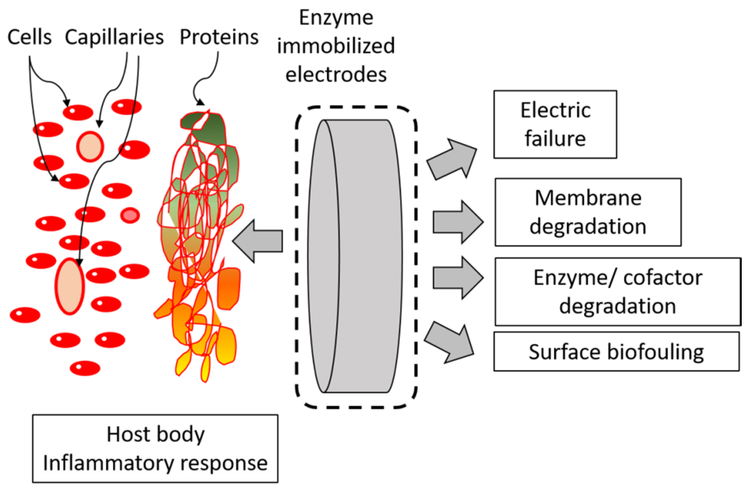 Applsci 11 02220 g012