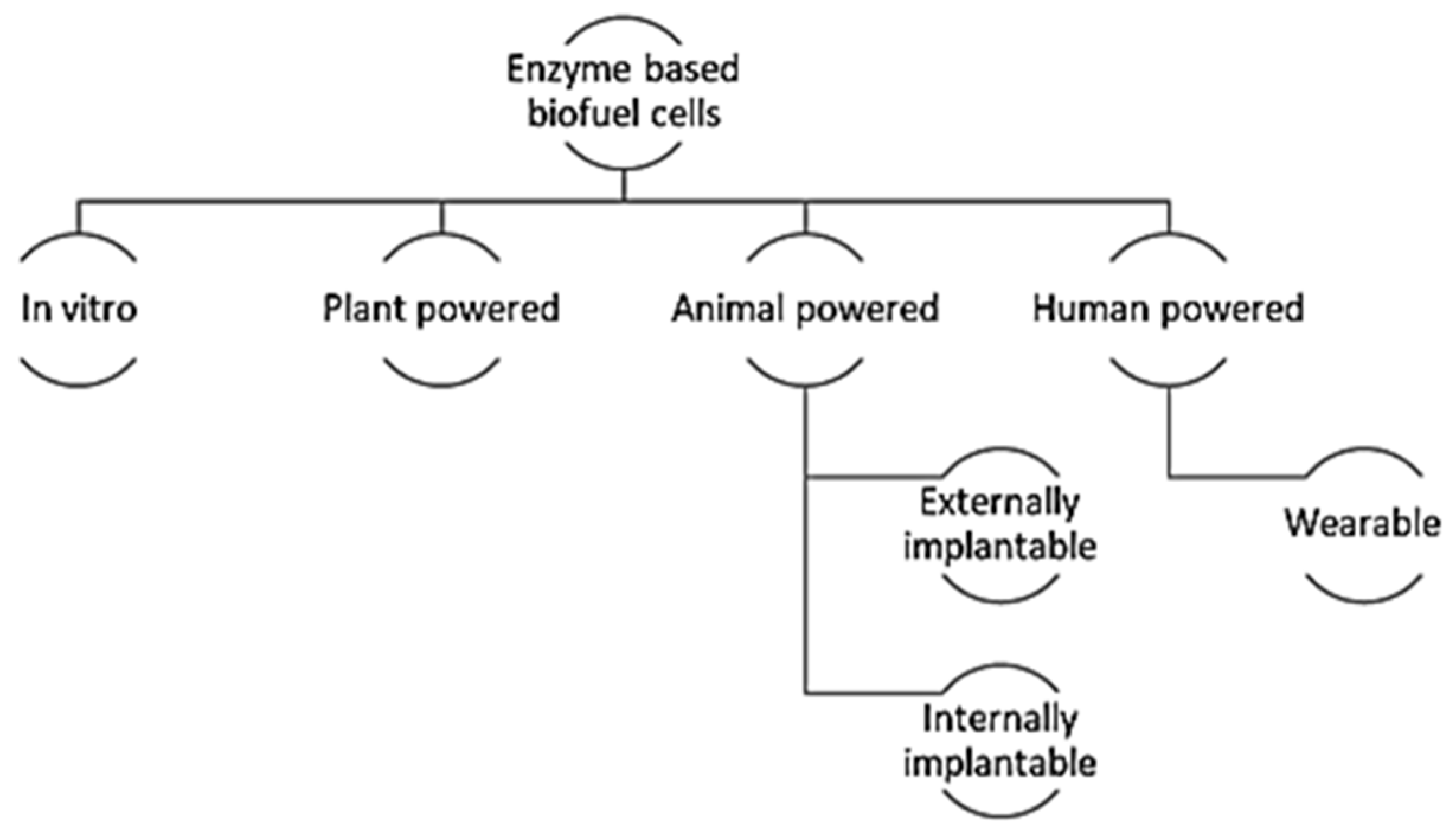 Applsci 11 02220 g013