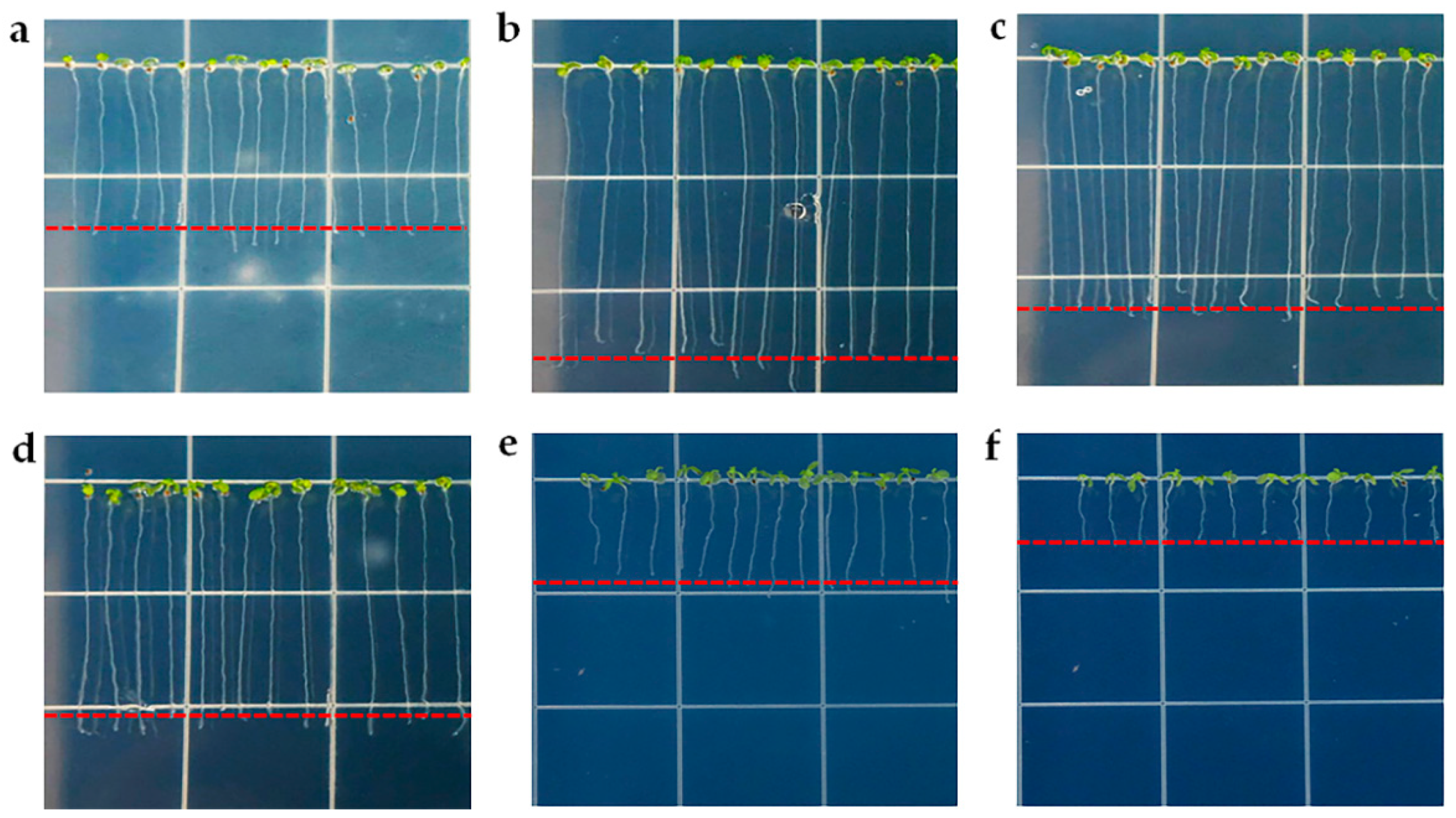 Applsci 11 02240 g003