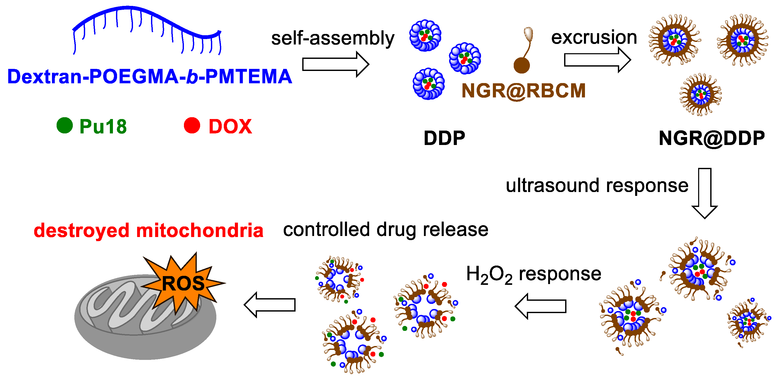 Applsci 11 02254 g006