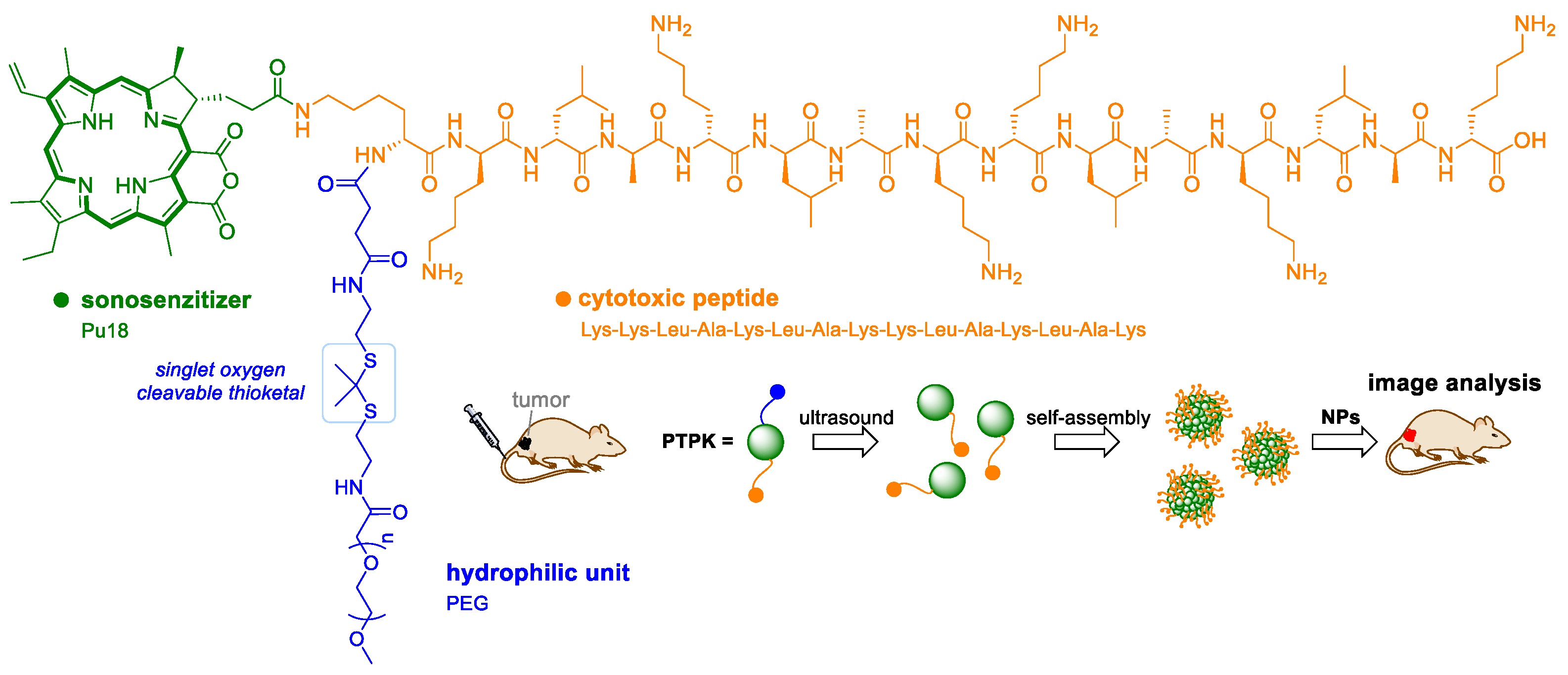 Applsci 11 02254 g007
