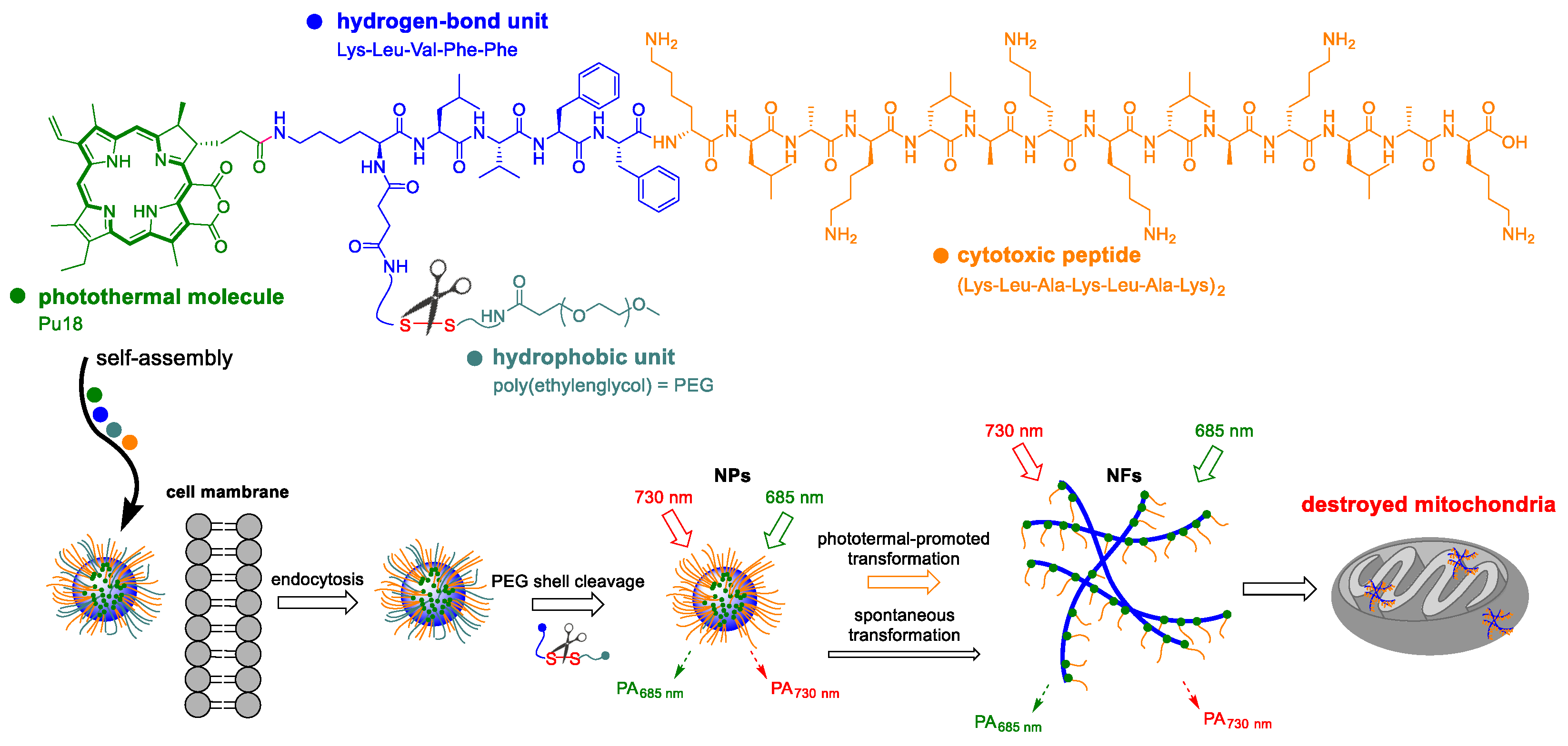 Applsci 11 02254 g010