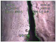 Applsci 11 02263 i046