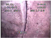 Applsci 11 02263 i073