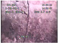 Applsci 11 02263 i077