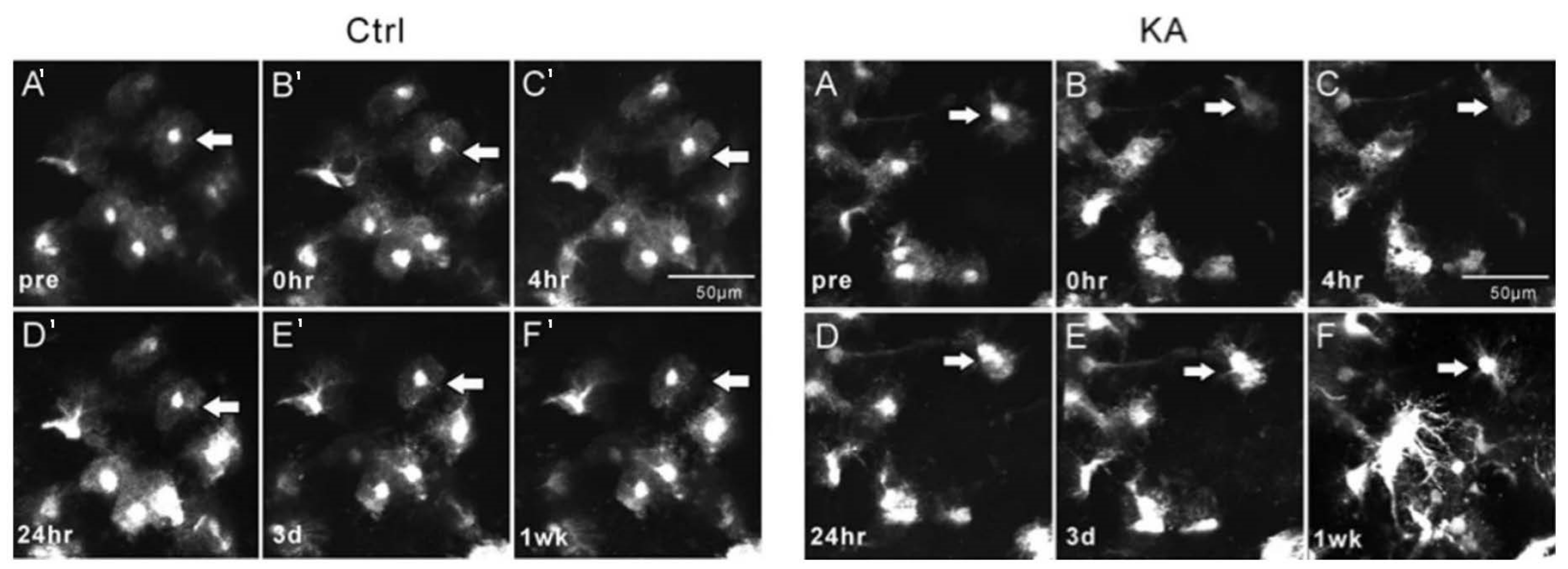 Applsci 11 02404 g003 Applsci 11 02404 g003