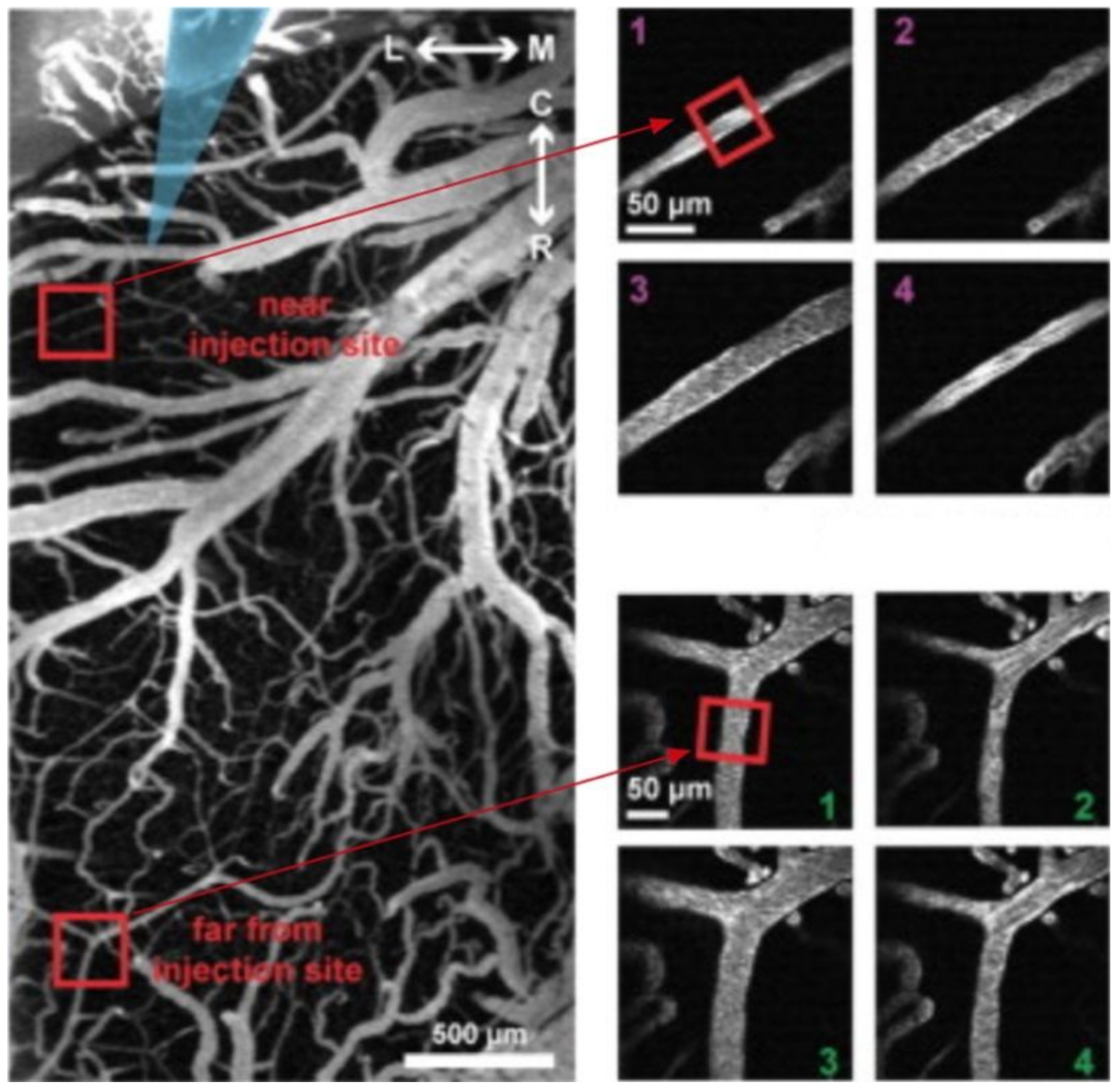 Applsci 11 02404 g004 Applsci 11 02404 g004