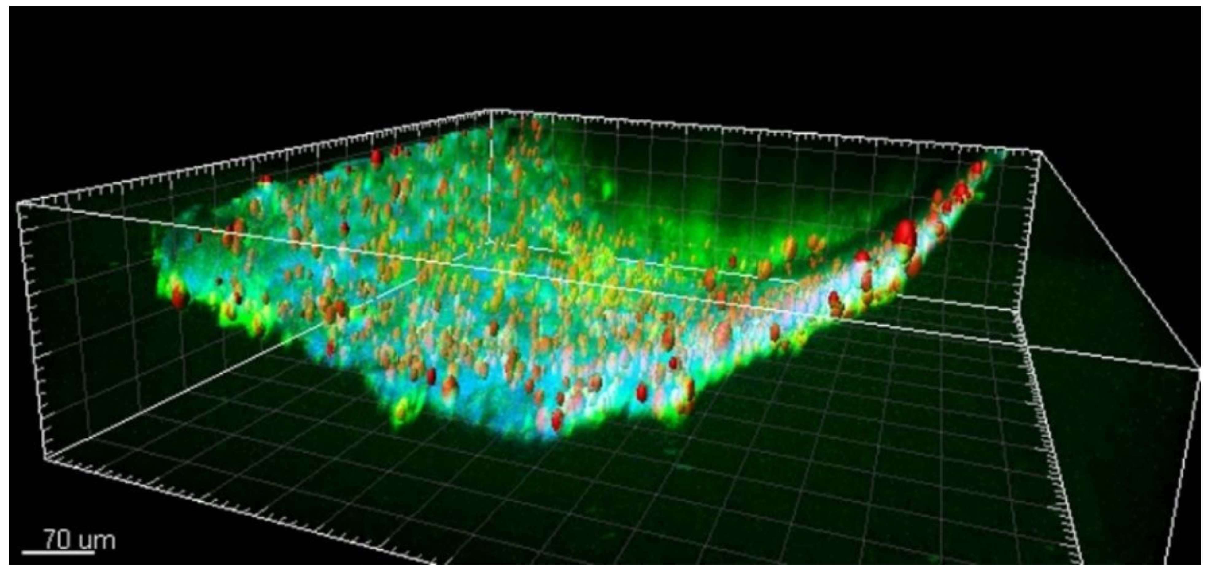 Applsci 11 02404 g005 Applsci 11 02404 g005