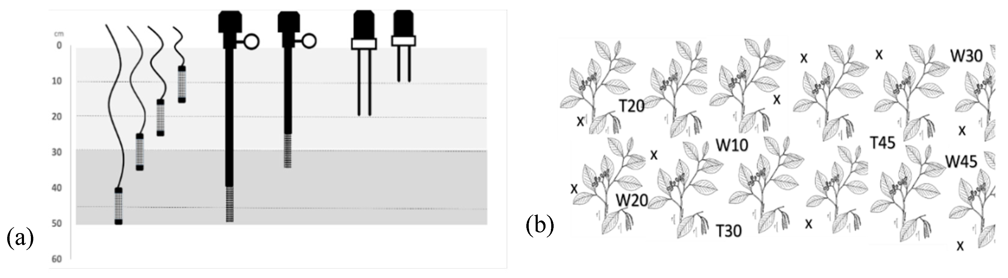 Applsci 11 02451 g004 Applsci 11 02451 g004