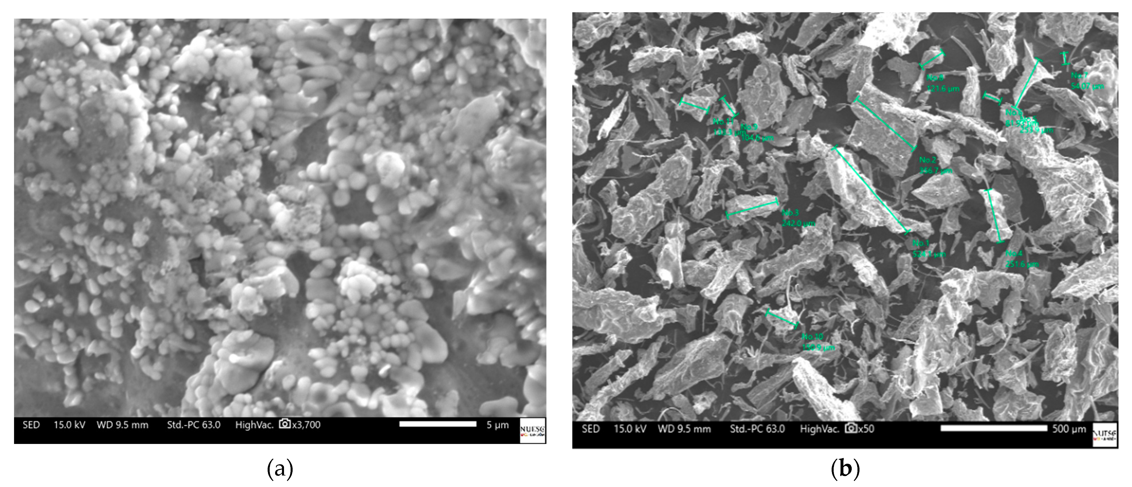 Applsci 11 02465 g003