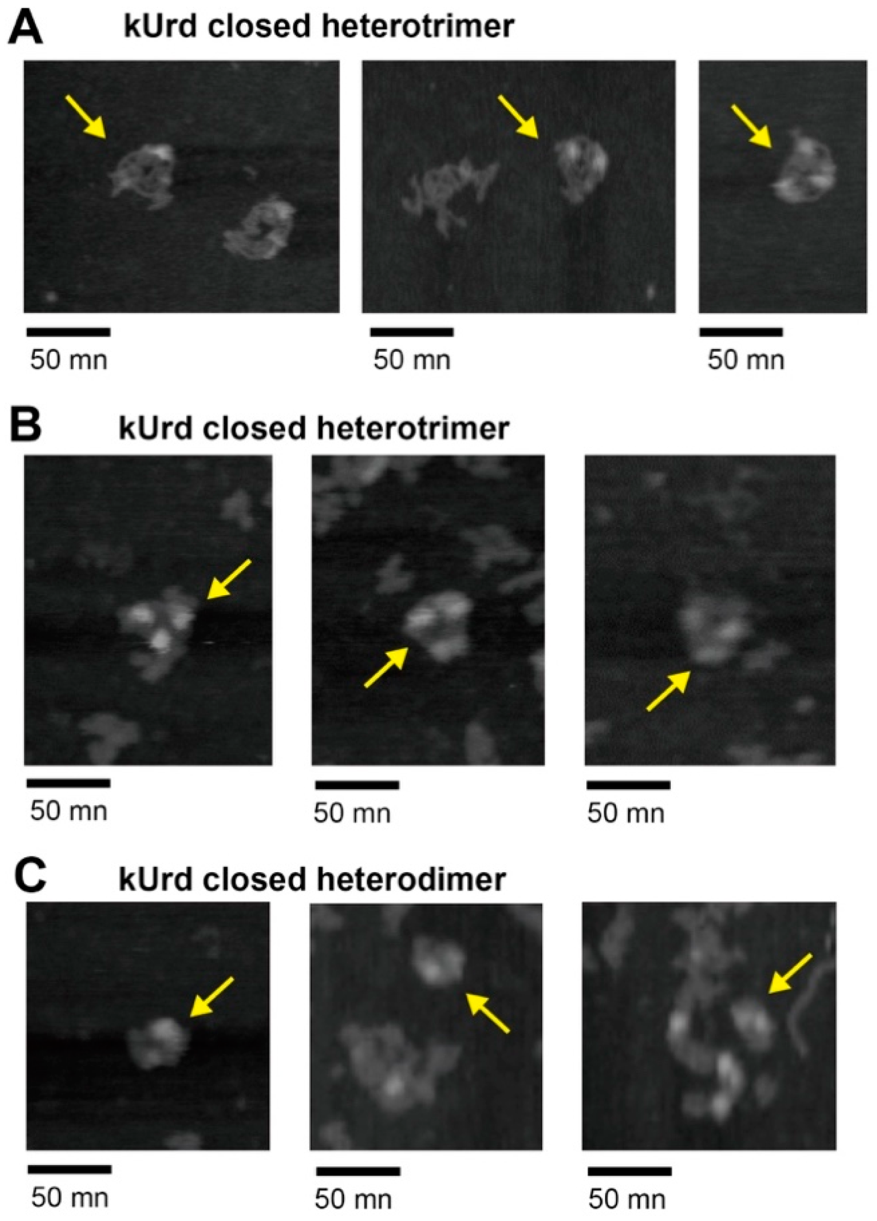 Applsci 11 02583 g004