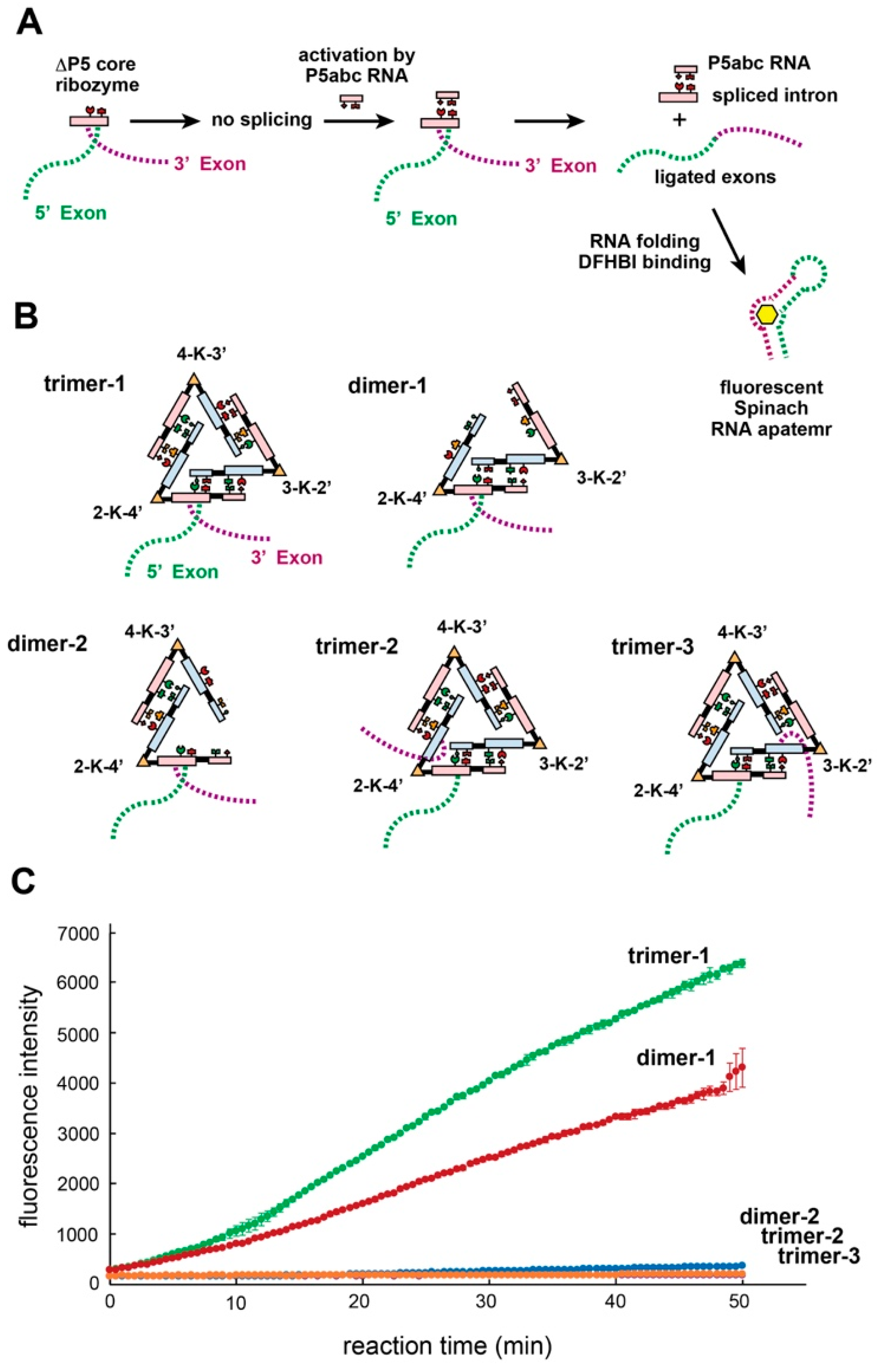 Figure S4. Hetero-trimer formation