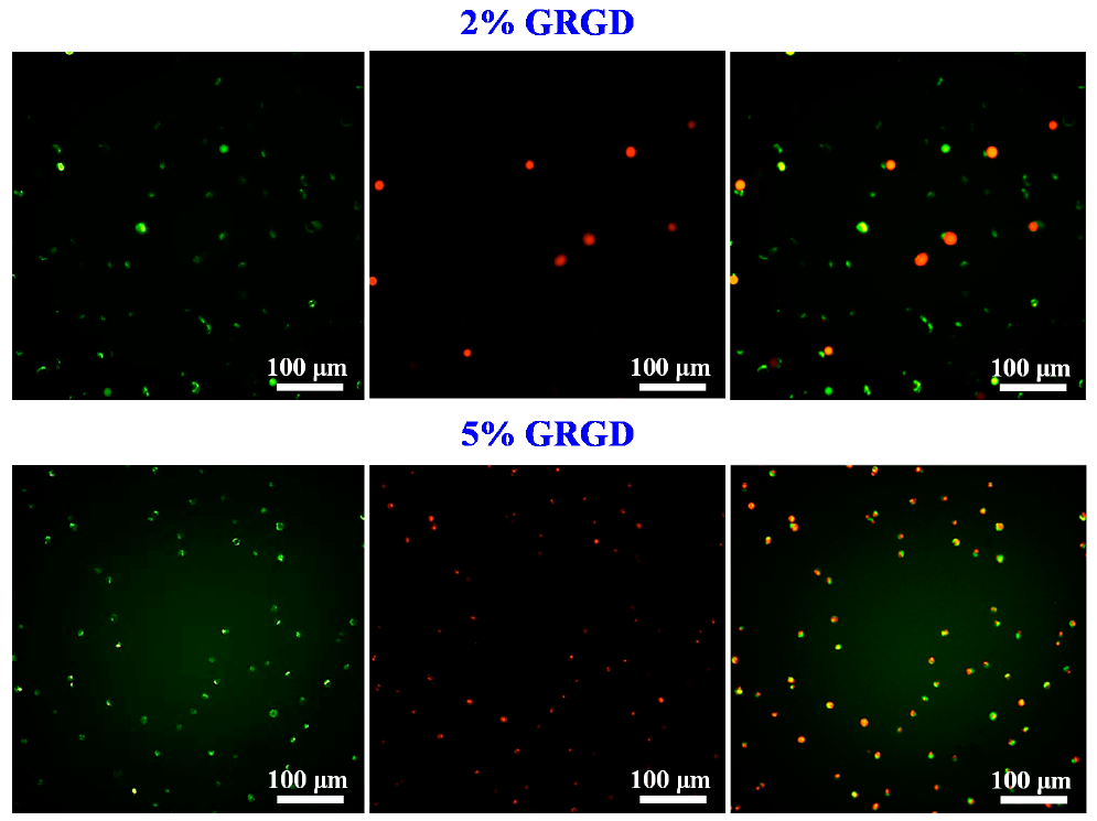 Applsci 11 02616 g004b