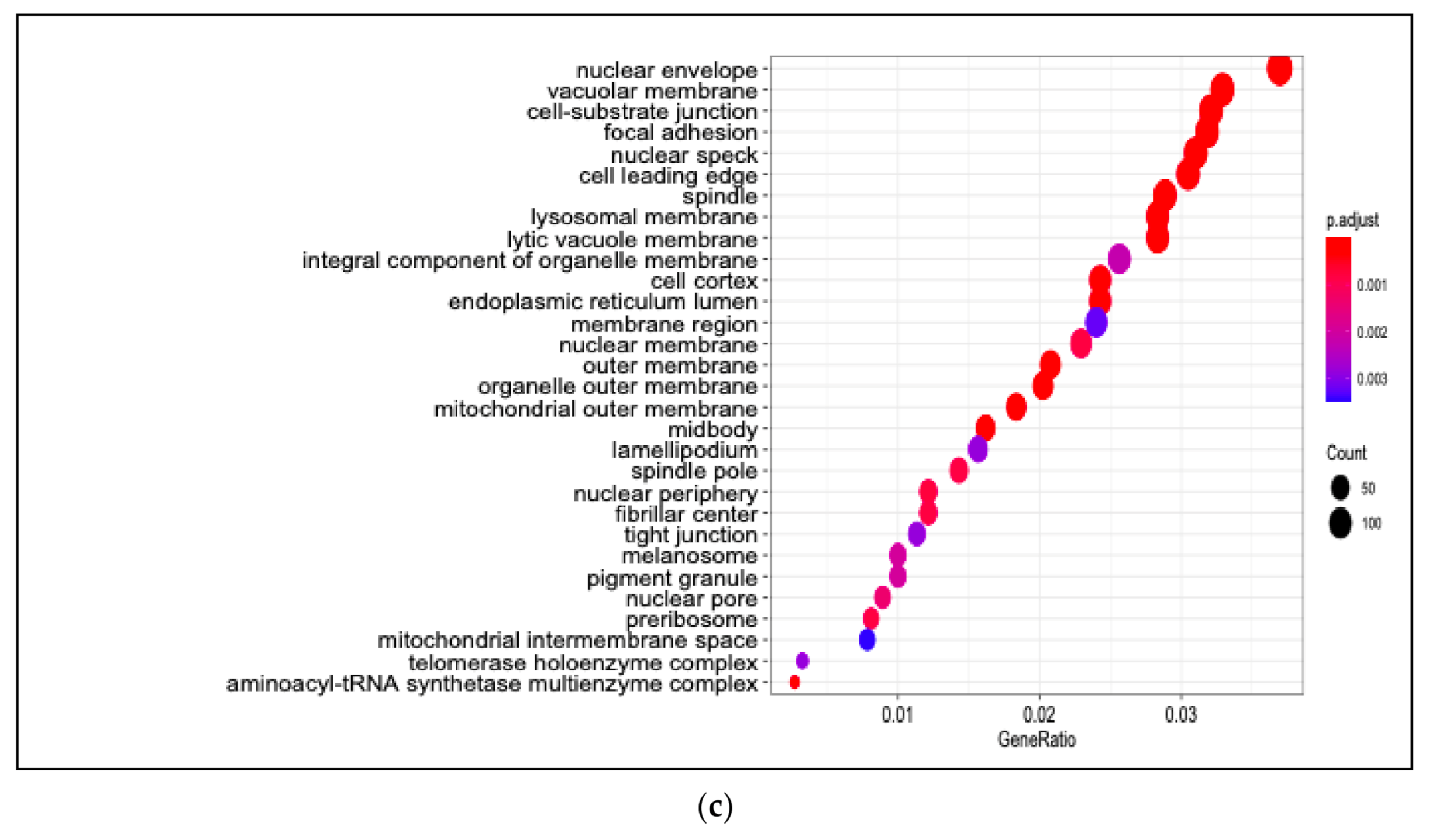 Applsci 11 02678 g004b Applsci 11 02678 g004b
