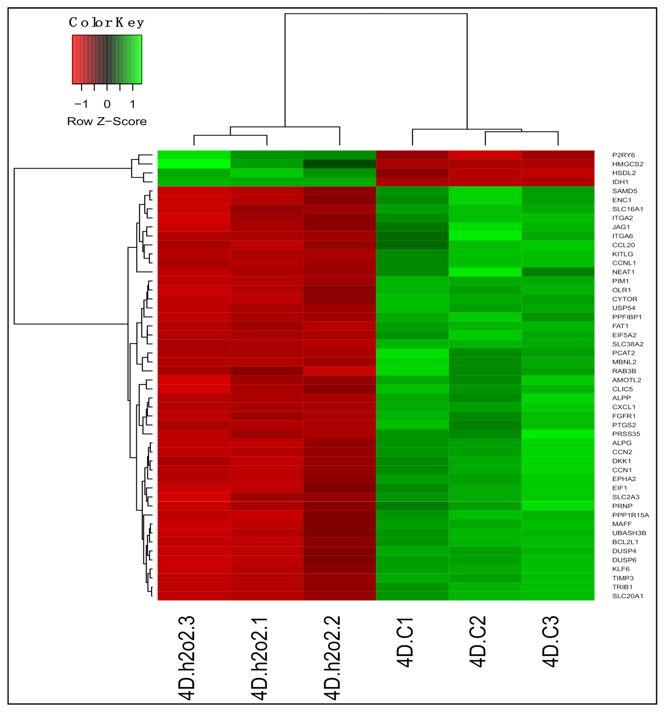 Applsci 11 02678 g005 Applsci 11 02678 g005