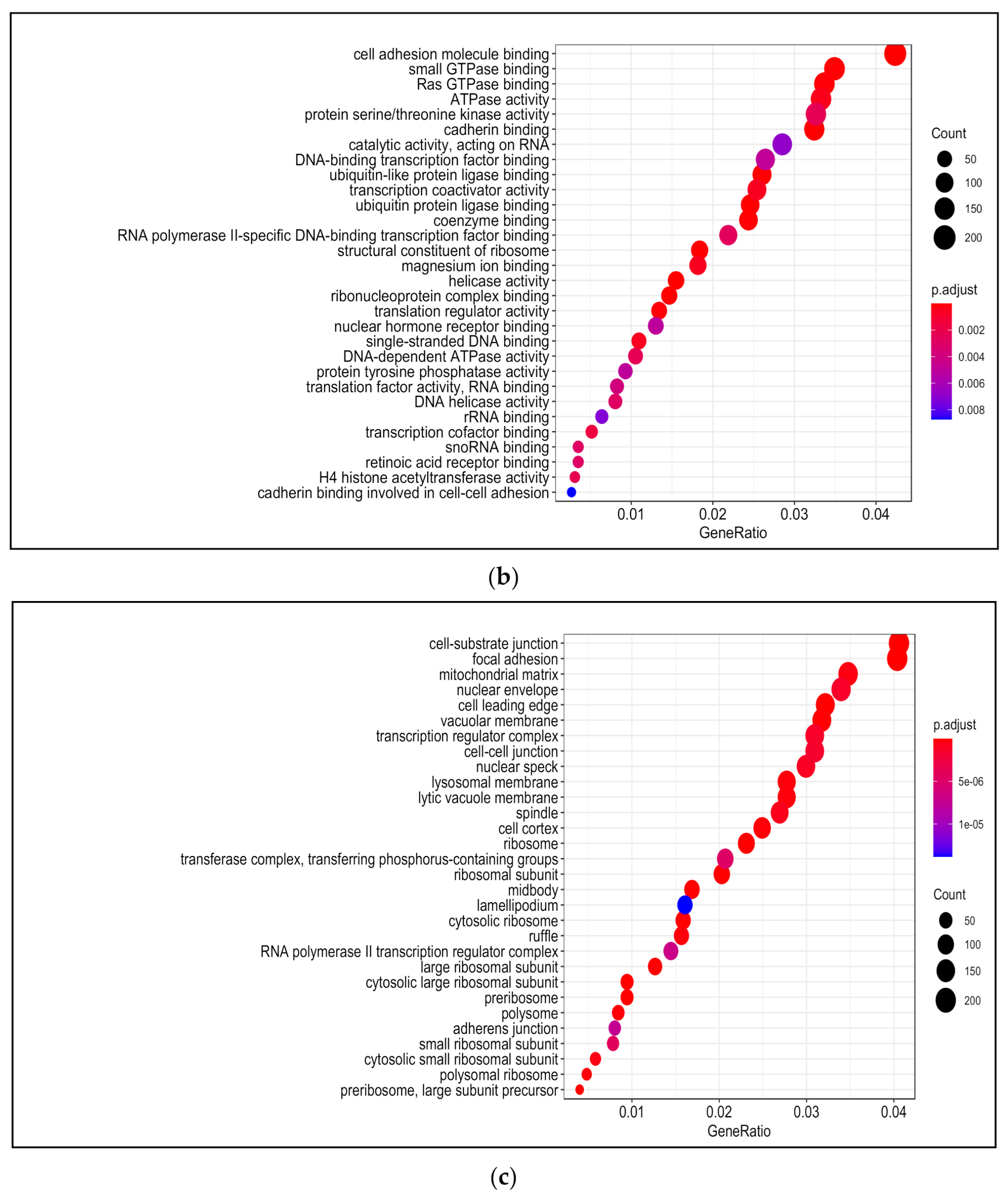 Applsci 11 02678 g006b Applsci 11 02678 g006b