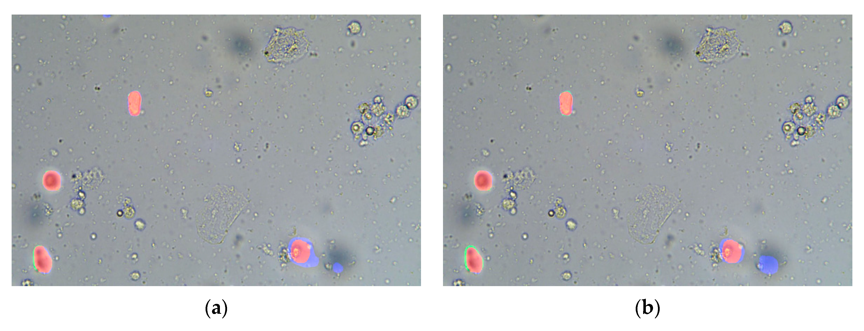 Applsci 11 02738 g010 Applsci 11 02738 g010