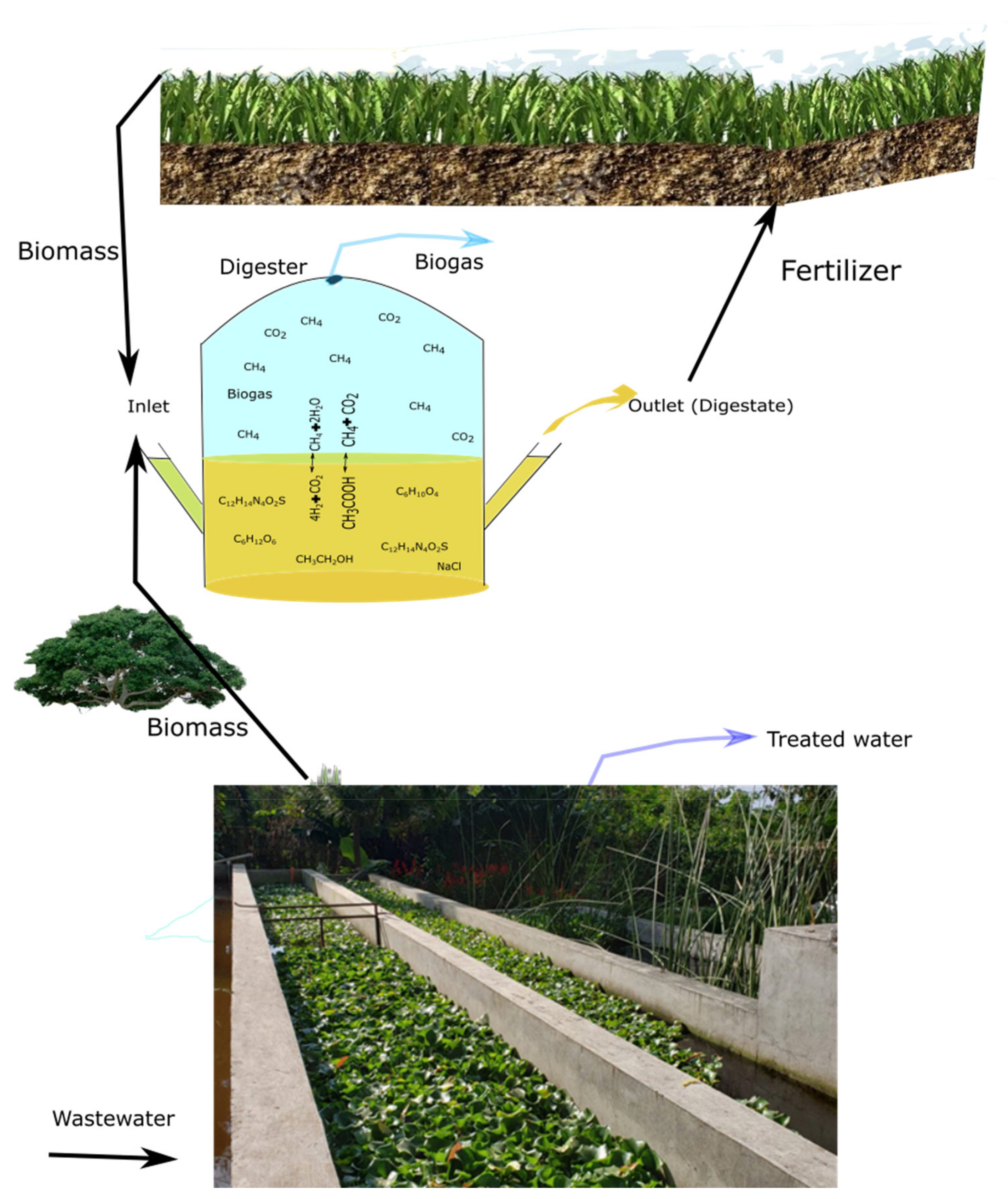Applsci 11 02746 g002 Applsci 11 02746 g002