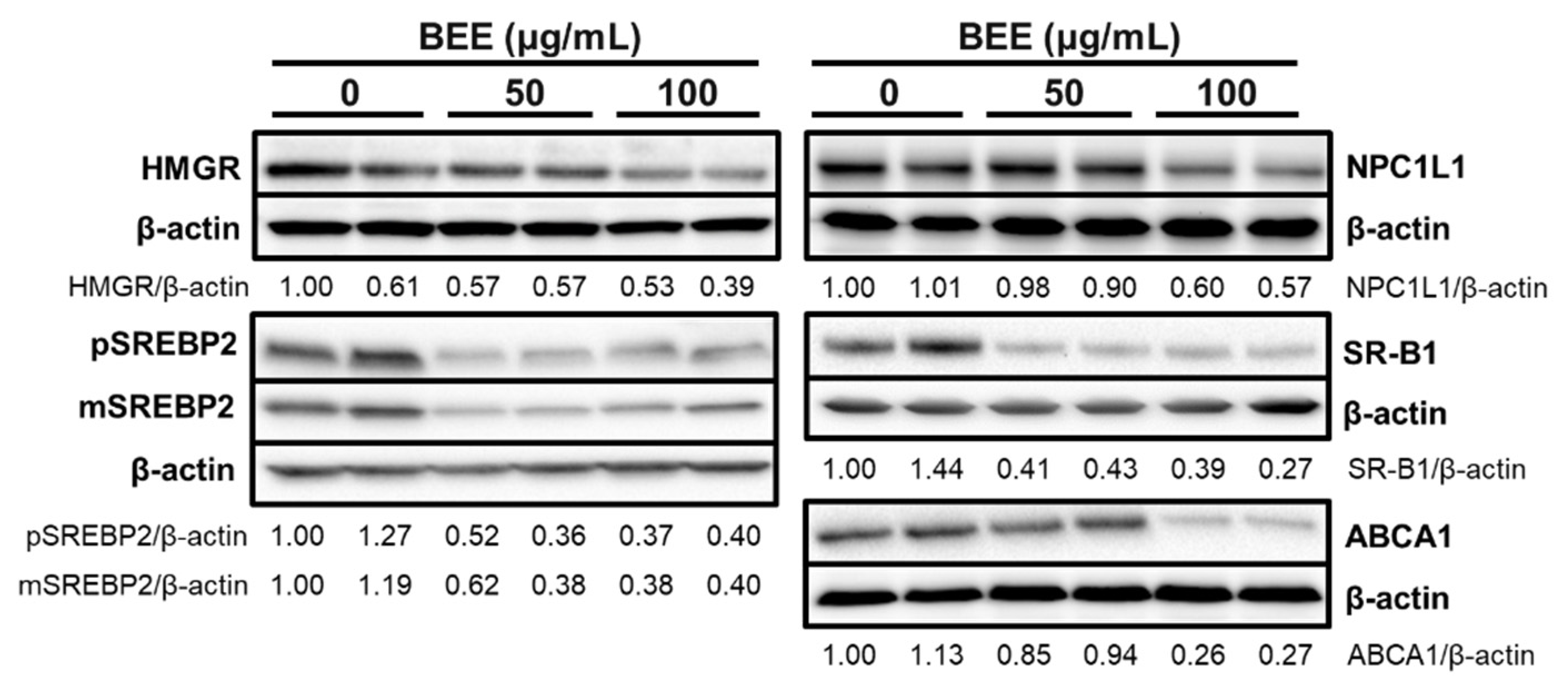 Applsci 11 02790 g003 Applsci 11 02790 g003